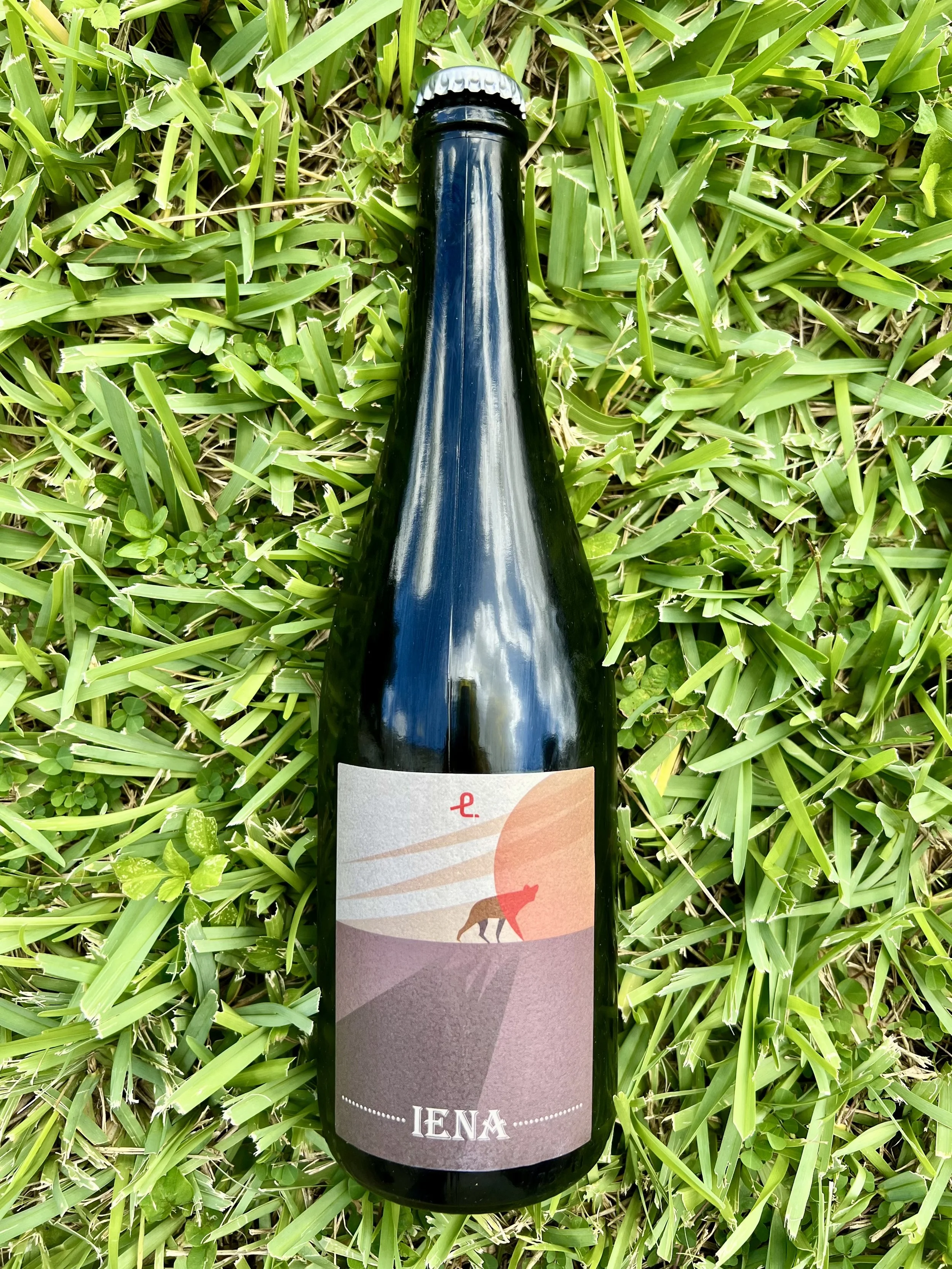 Franchina e Giarone - Iena Lambrusco