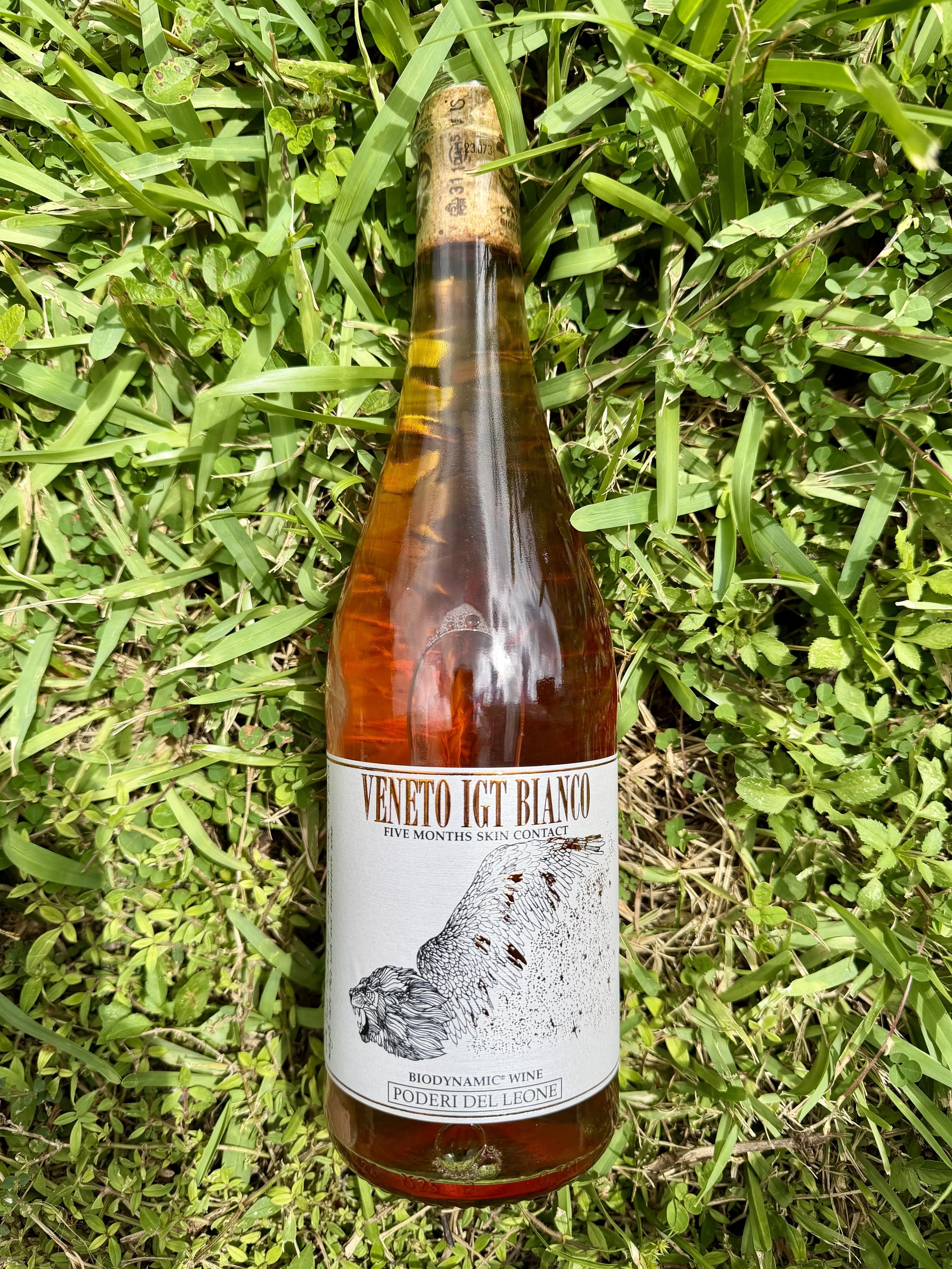 Poderi del Leone Veneto Bianco Orange NV