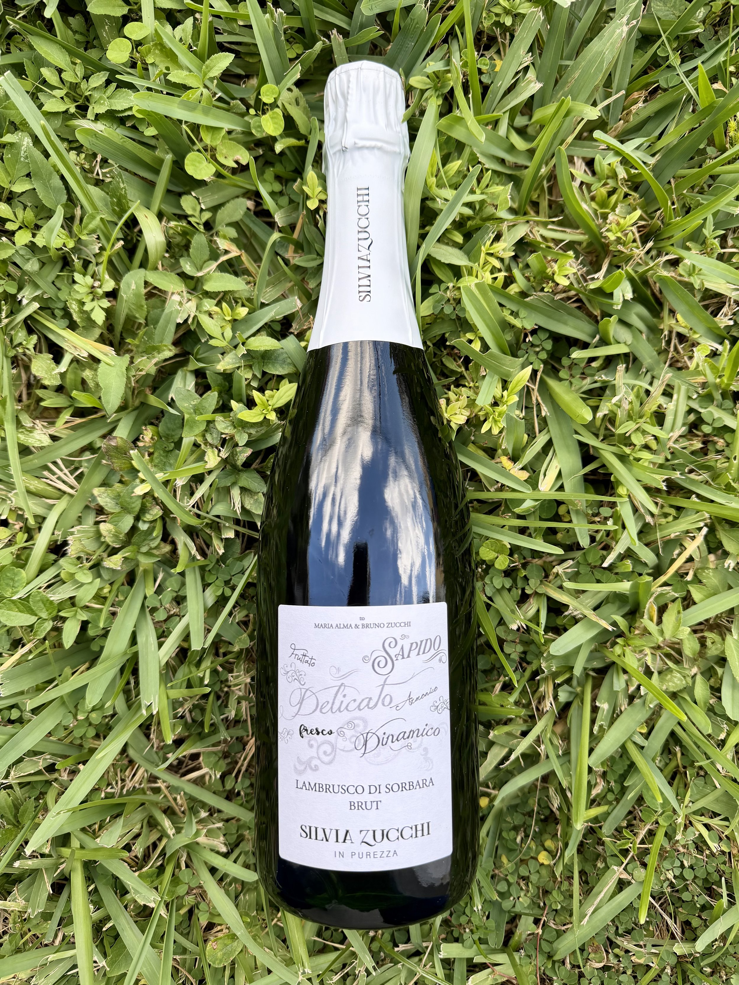 Silvia Zucchi - Purezza Lambrusco di Sorbara DOC Brut 2025
