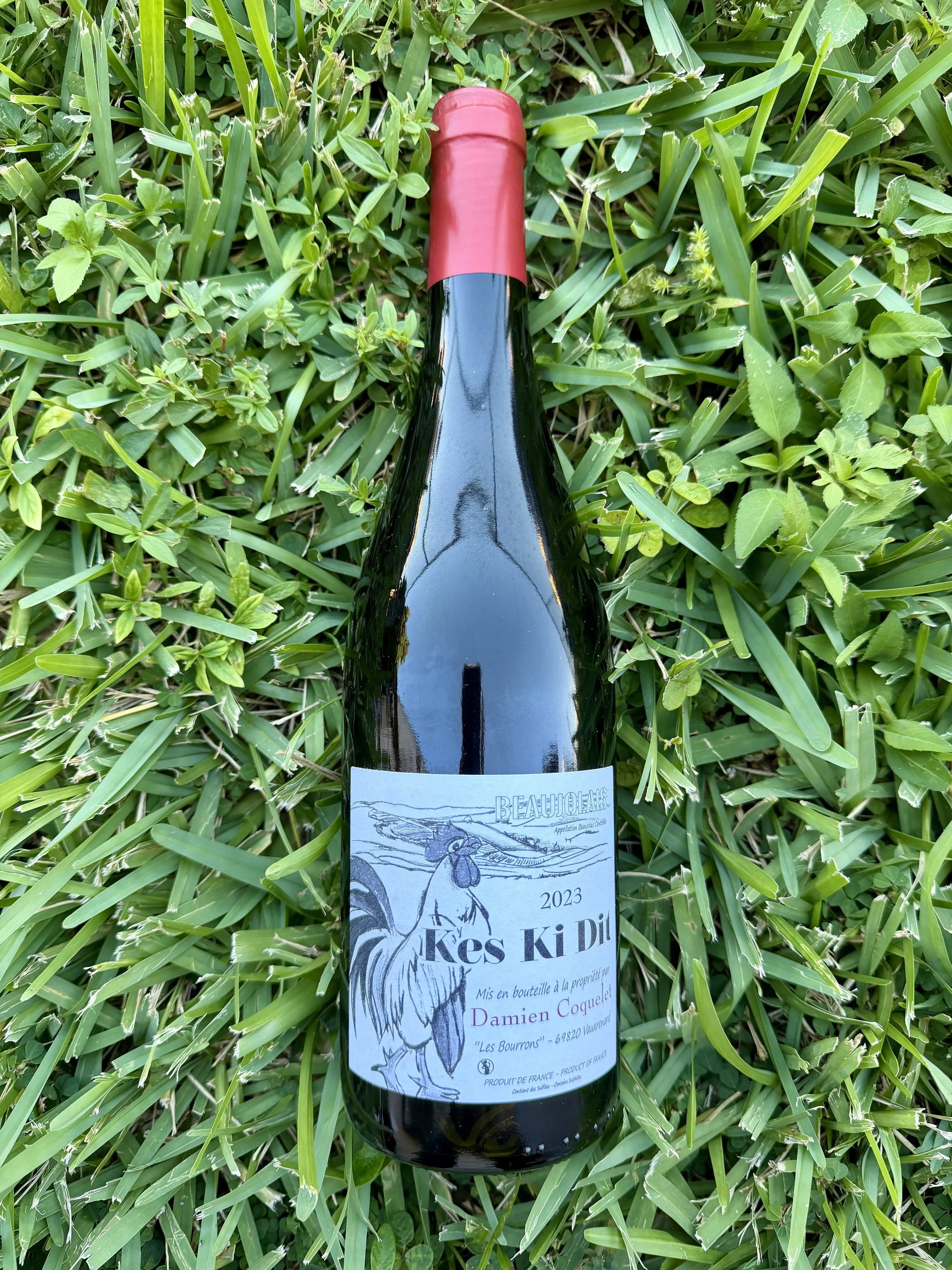 Damien Coquelet - Kes Ki Dit Beaujolais