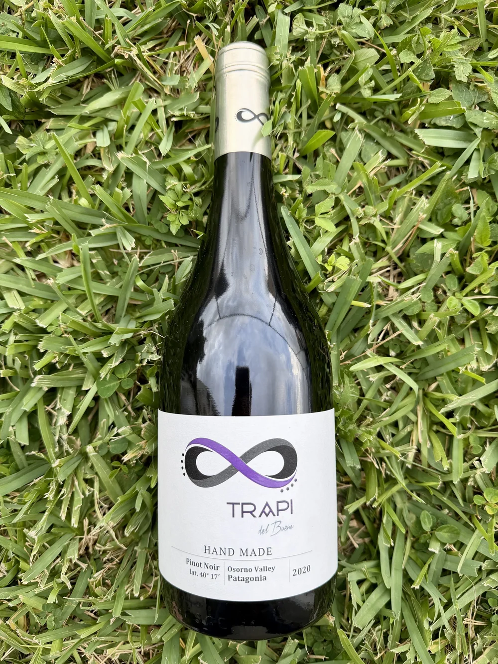 Trapi del Bueno - Hand Made Pinot Noir — Primitive Selections