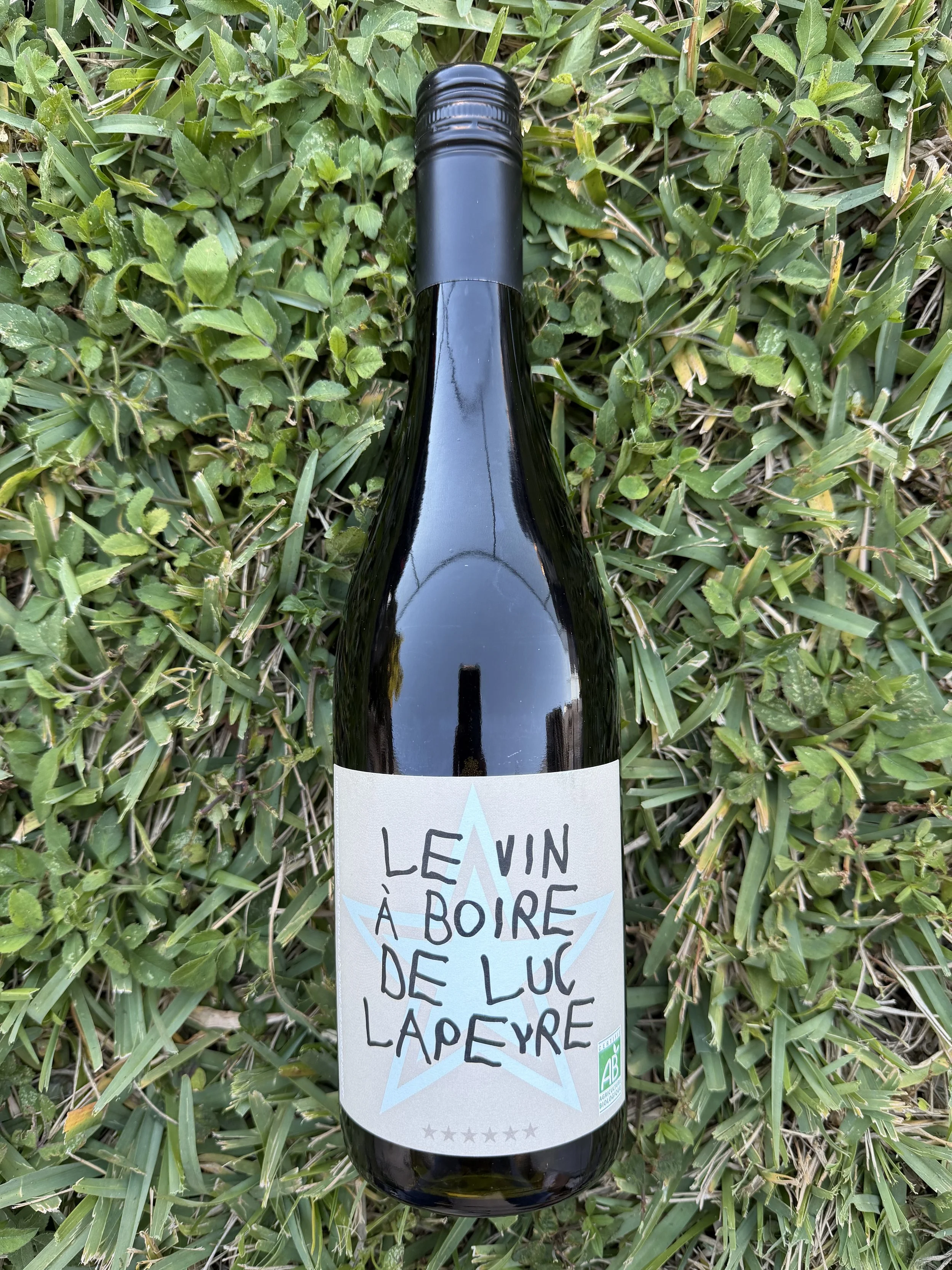 Domaine Luc Lapeyre 'Le Vin à Boire' Minervois 2022