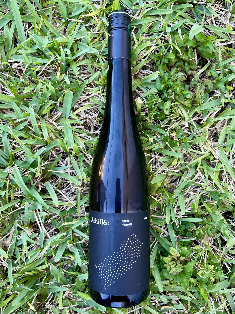 Achillée - Alsace Hespéridé 2022 — Primitive Selections - Natural