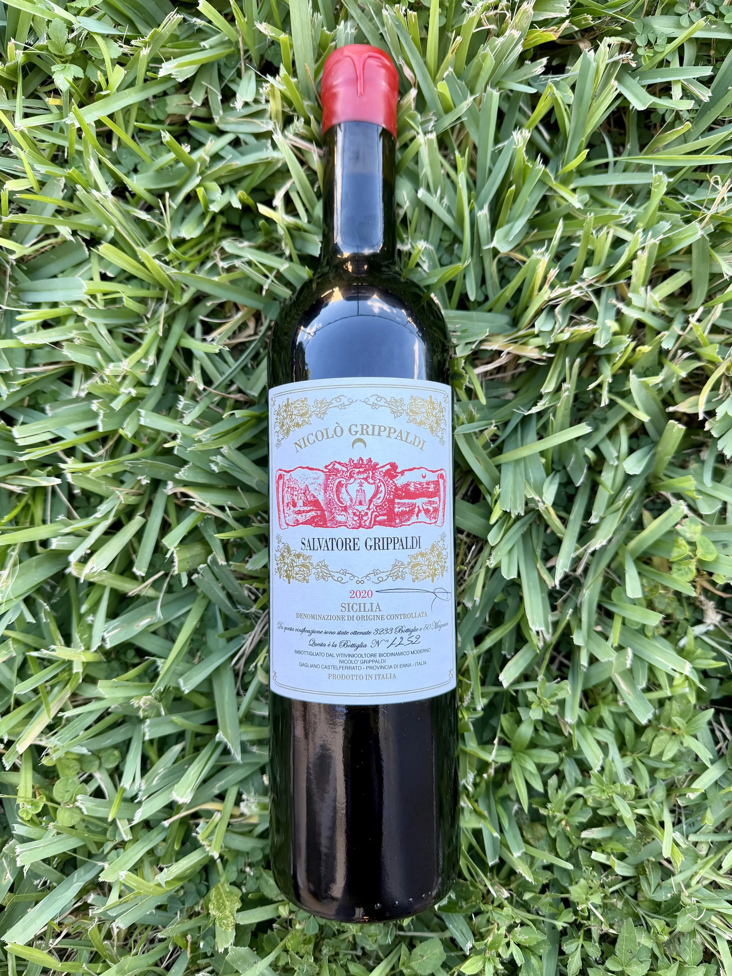 Nicolò Grippaldi - Salvatore Grippaldi