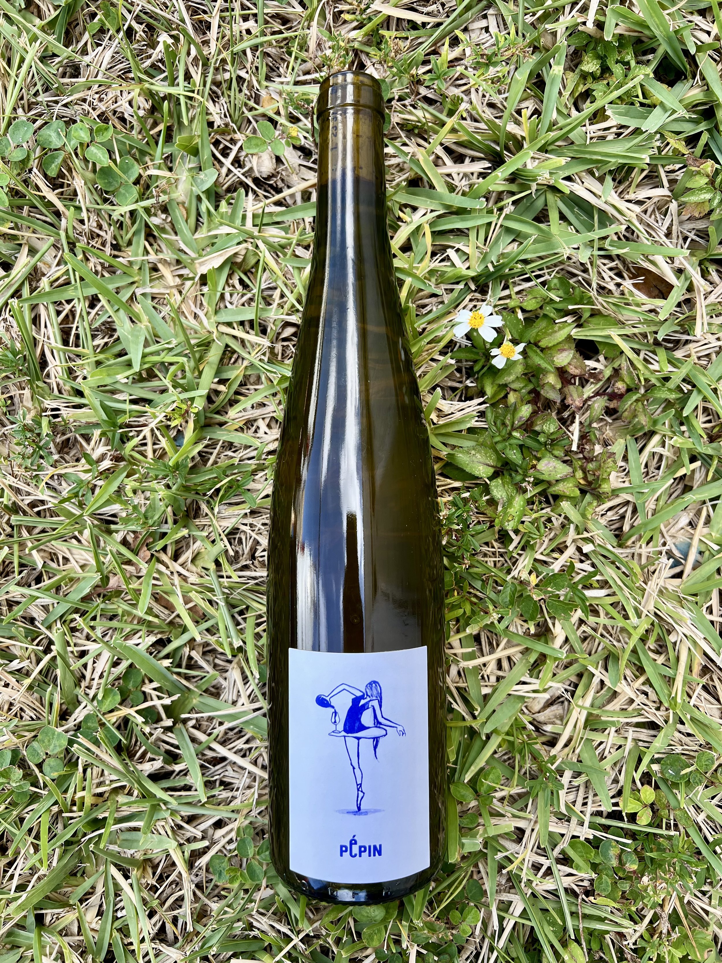 Pépin - Blanc
