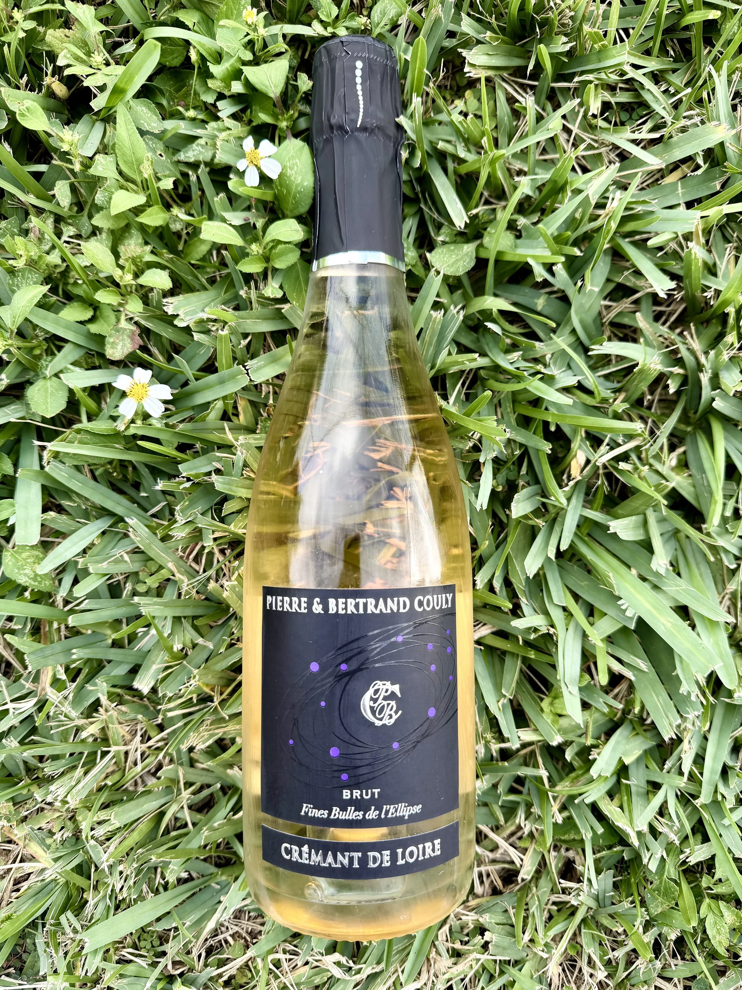 Pierre & Bertrand Couly - Crémant de Loire Rosé