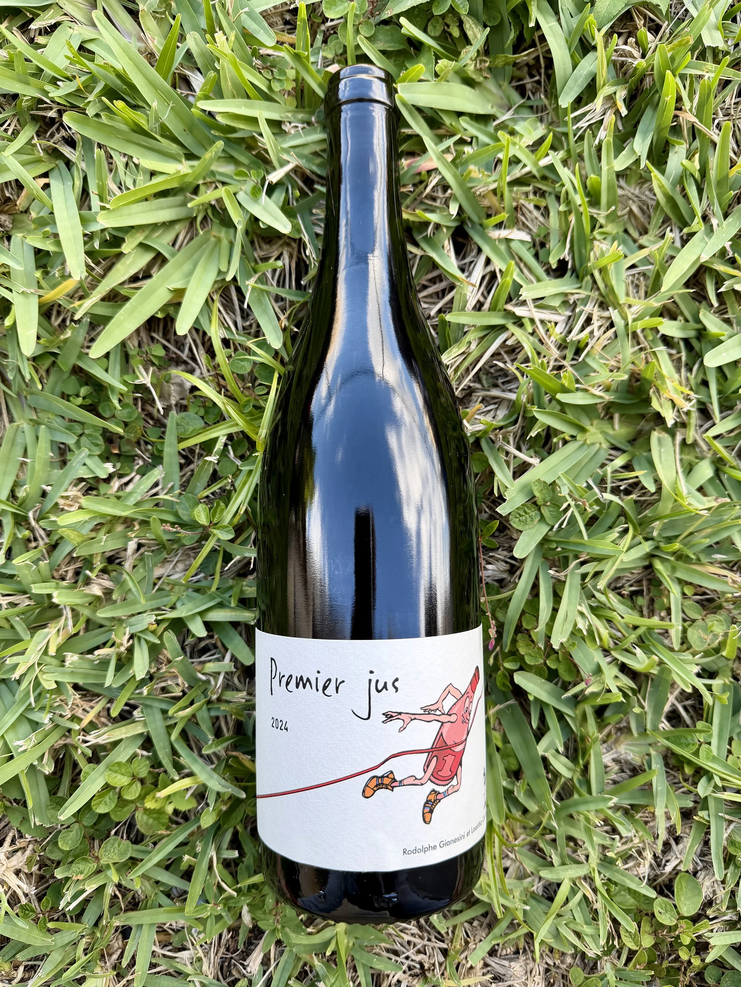 Fond Cypres - Premier Jus (2024)