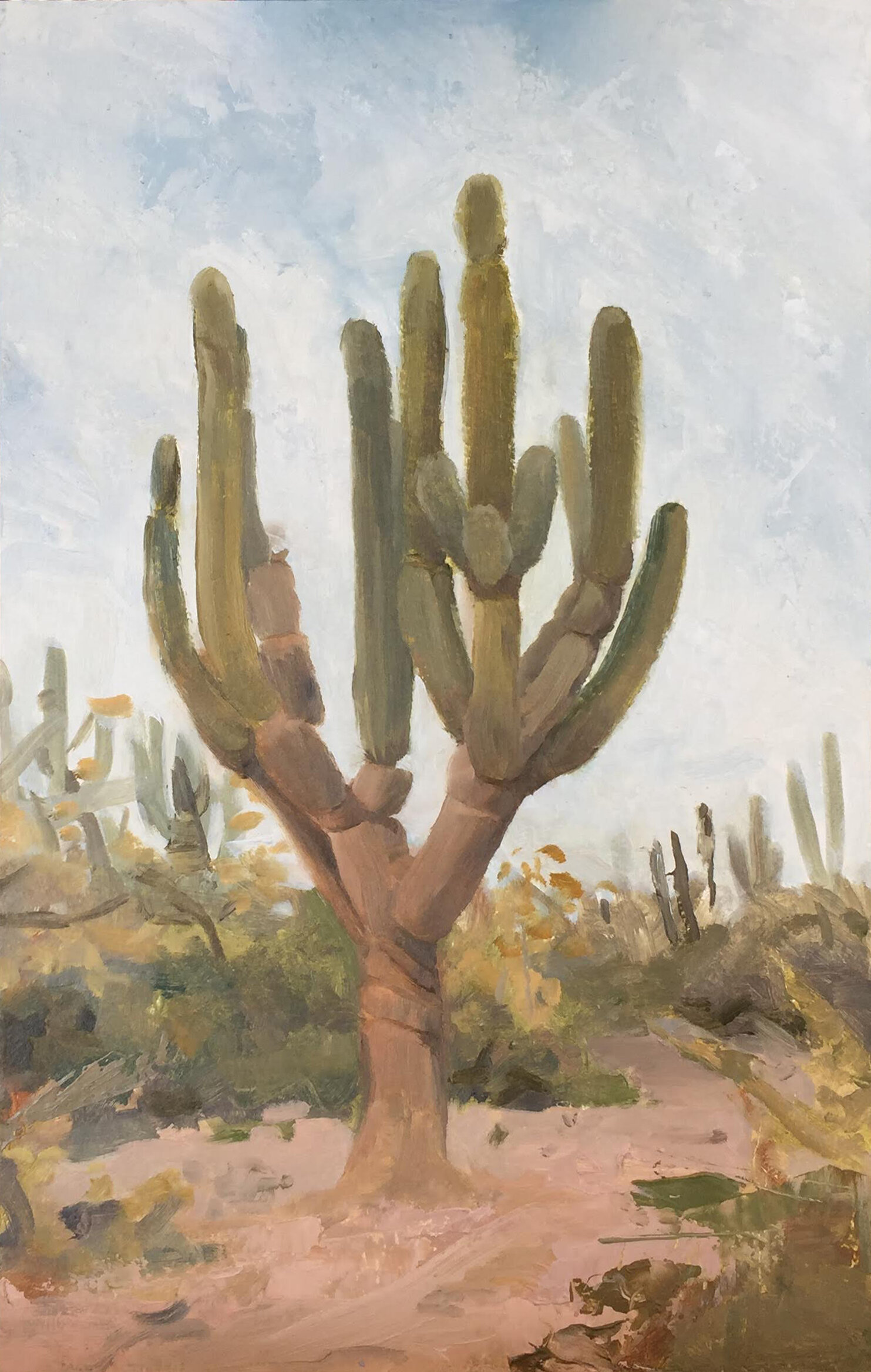 Cardon Cactus, 2019