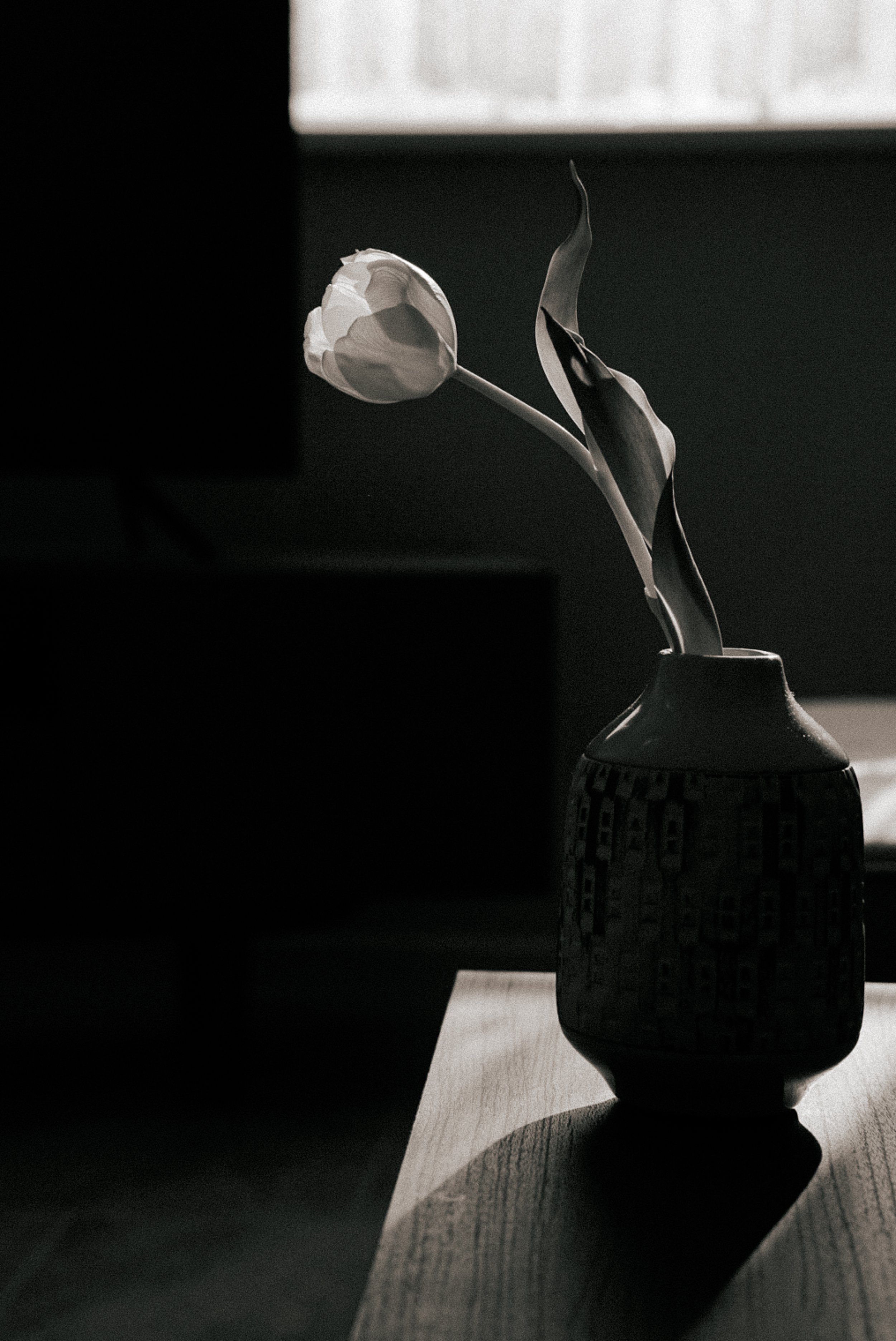 A single wilted white tulip in a dark textured vase, placed on a wooden surface with a shadow cast on the right side, in front of a window with light coming through.