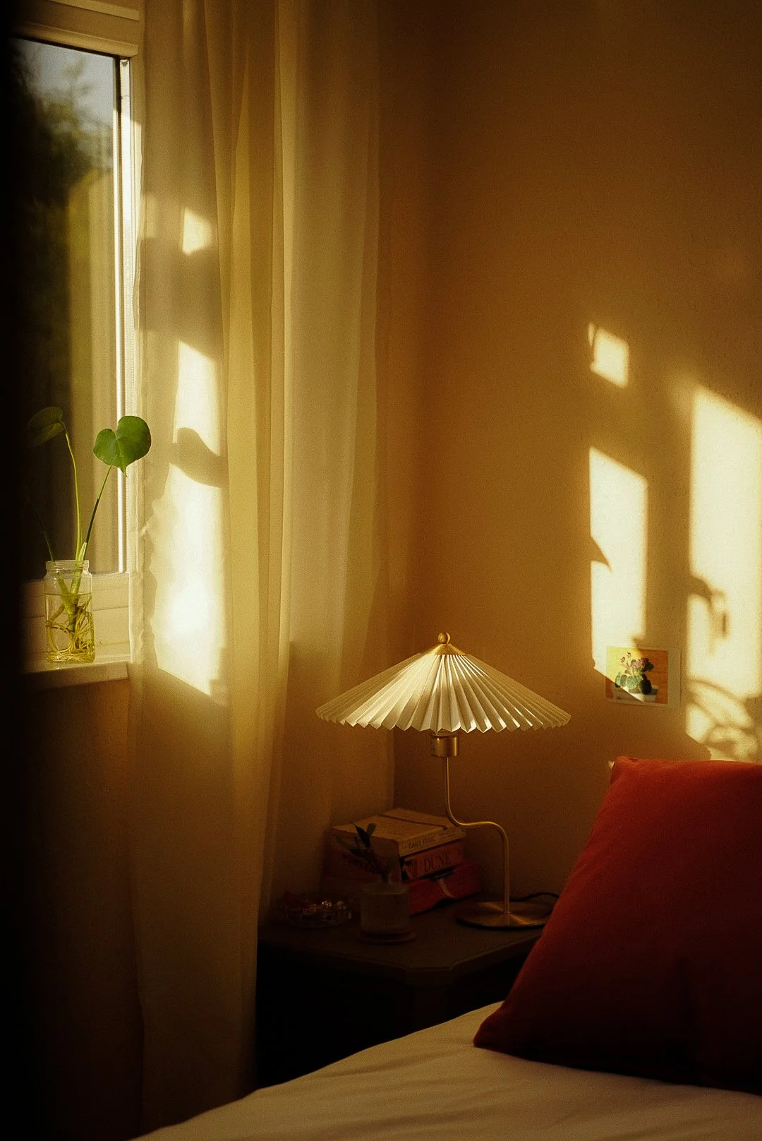 Sunlight casts geometric shadows on a bedroom wall, with a window, sheer curtains, a potted plant, a table lamp, books, and a bed with a pillow in warm light.