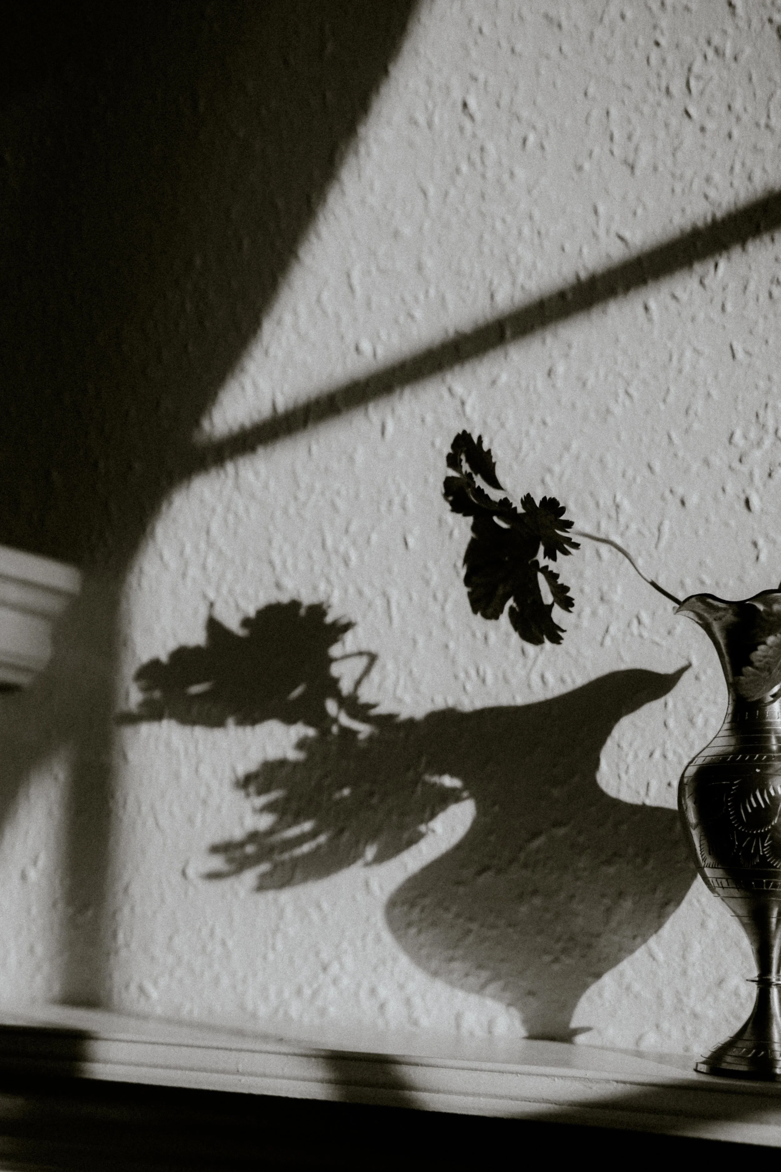 Shadow of a leafy plant in a decorative vase cast on a textured wall.