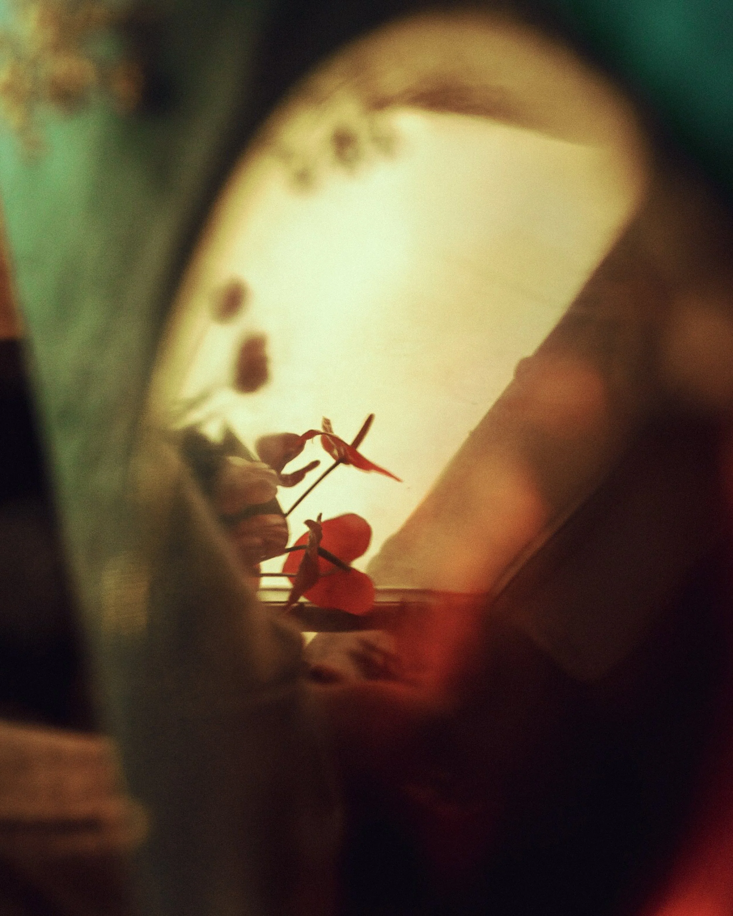 Close-up of a red flower seen through a circular mirror or frame, with a blurred background.