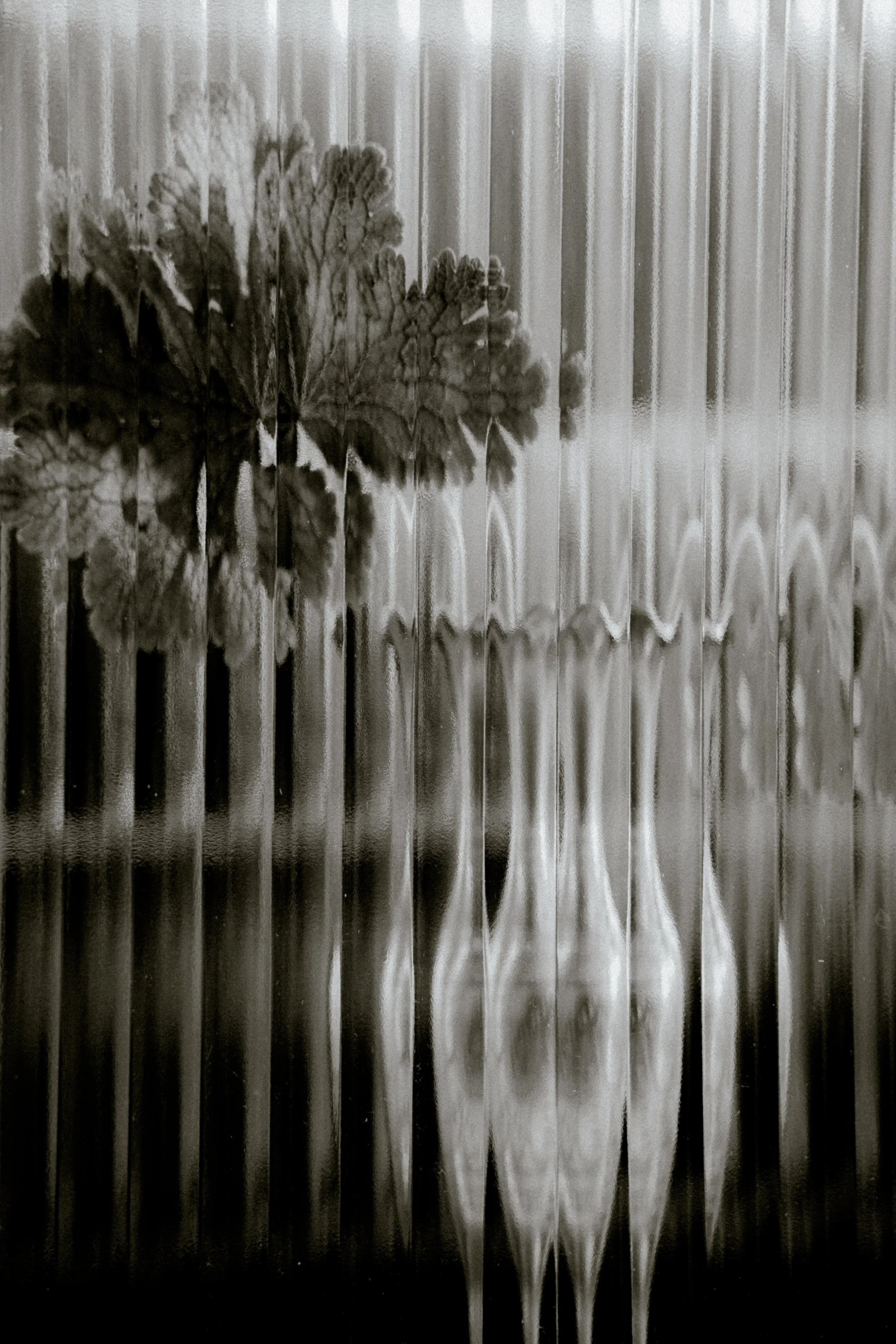 A black and white photo of a bouquet of flowers viewed through rippled, textured glass, creating a distorted and artistic effect.