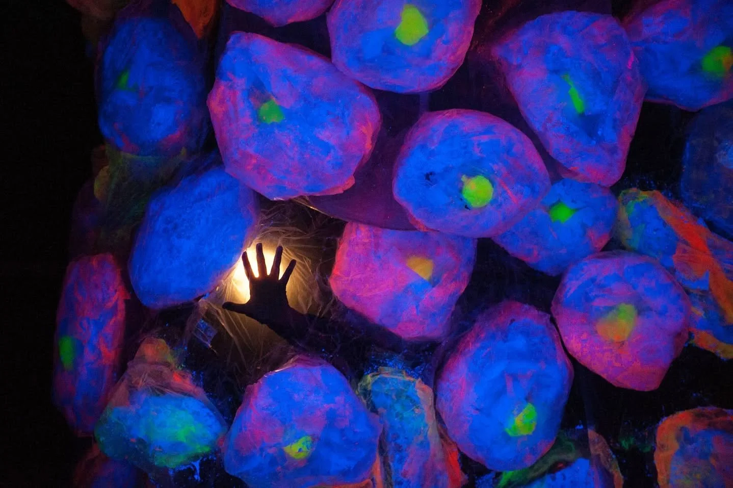 β¨ Z Puppets Rosenschnoz presents: CELLULA  at Curiosity Studio @curiositystudio_β¨
A joyous glow-in-the-dark performance of cell science
πΆ Featuring live music by improvisational vocalists Mankwe Ndosi & Libby Turner
π Directed by Kurt Hunter