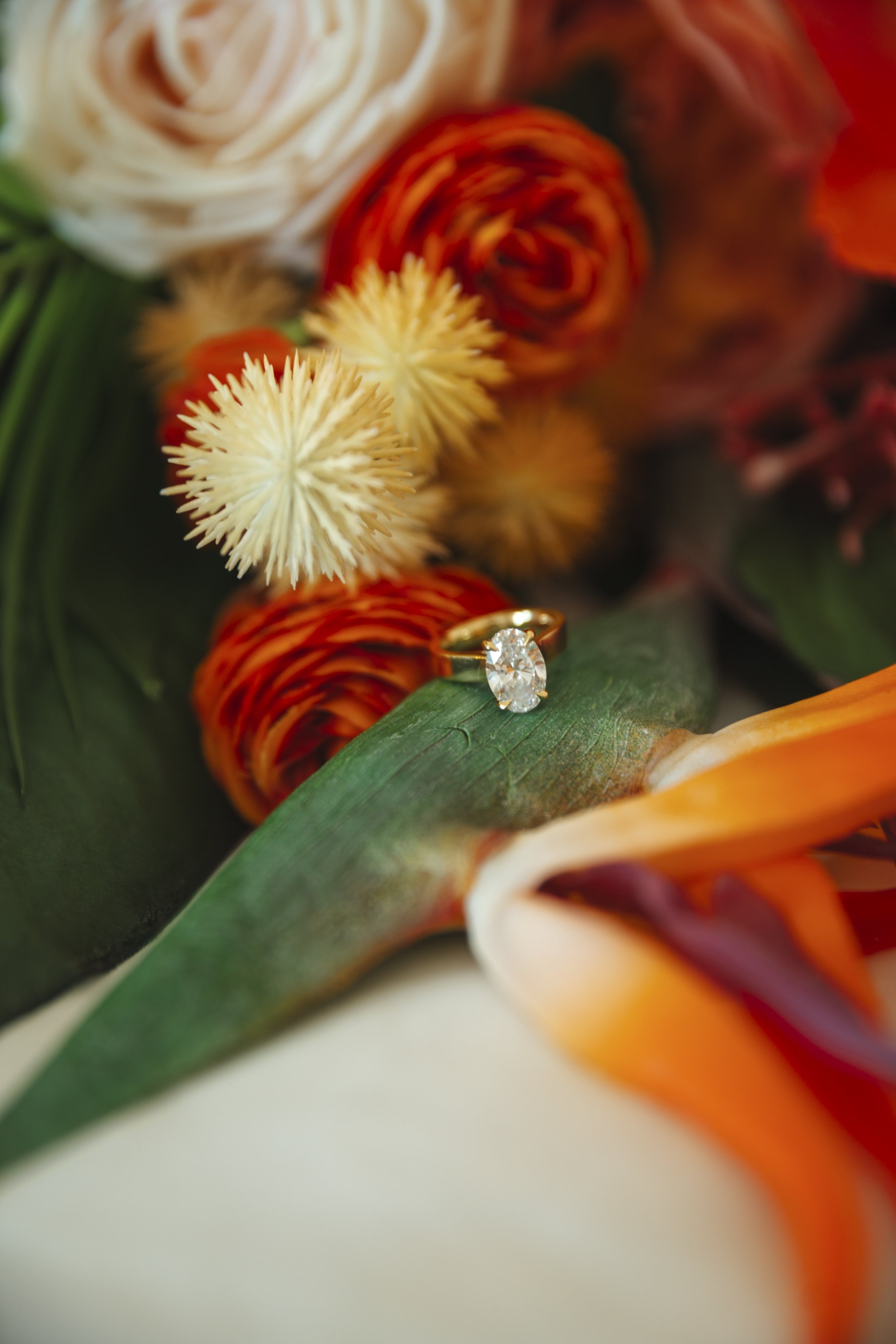 Alex&Mica-7401266.jpg