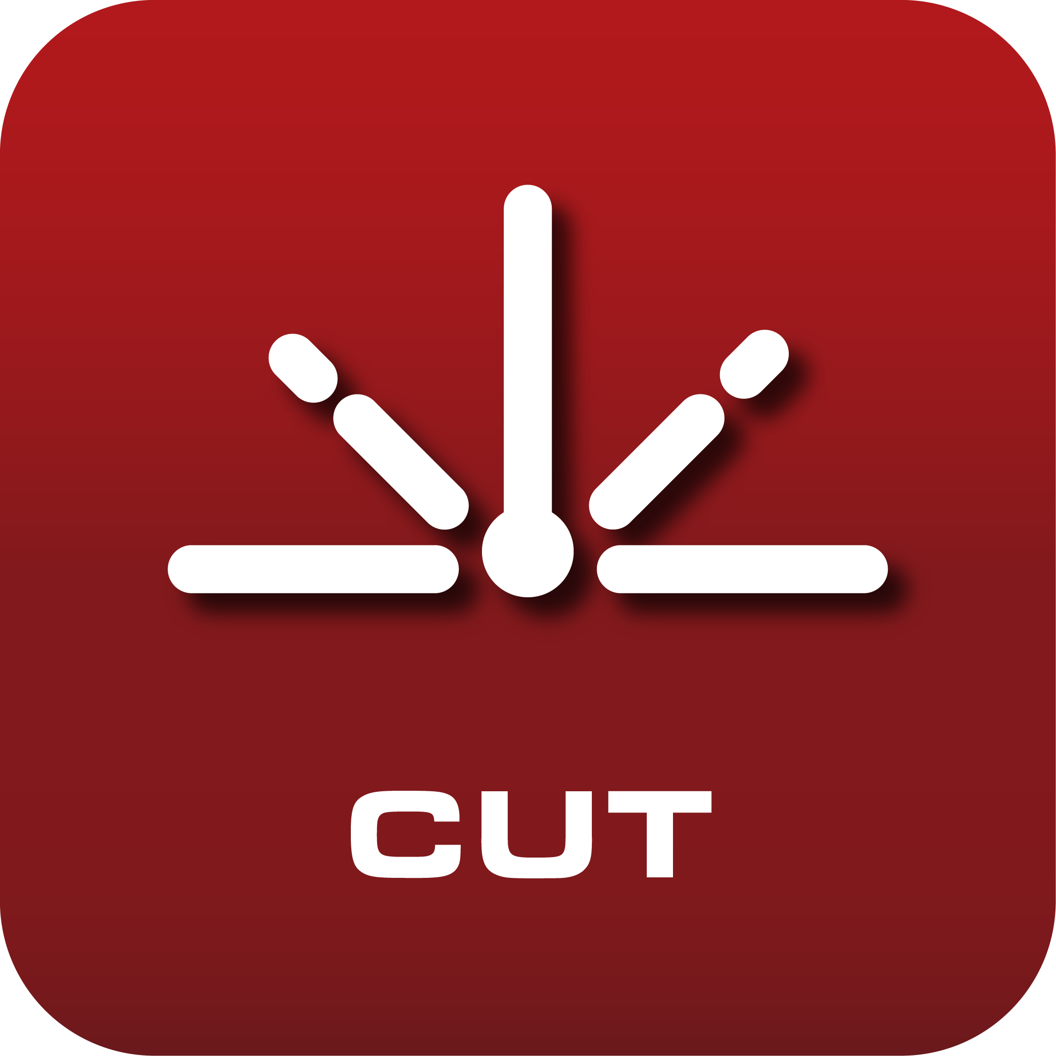 CI Cut | Realistic Cut Simulation