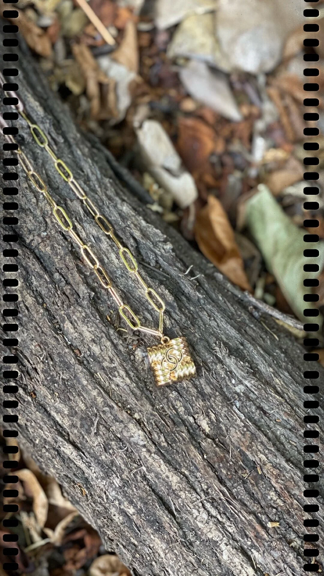 3670343C-E011-43A6-A54F-B381C0543ECE