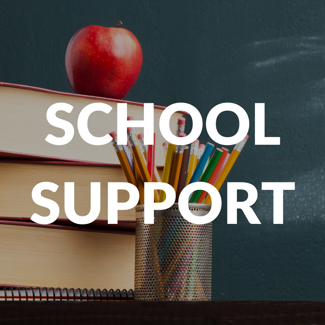 SCHOOL SUPPORT.png