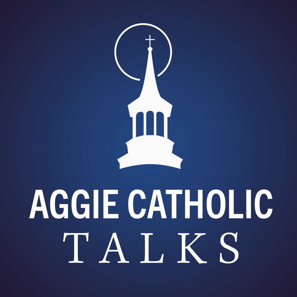 Recordings from talks at Magnify, “Let’s Talk About”, Catholicism 101, and more!