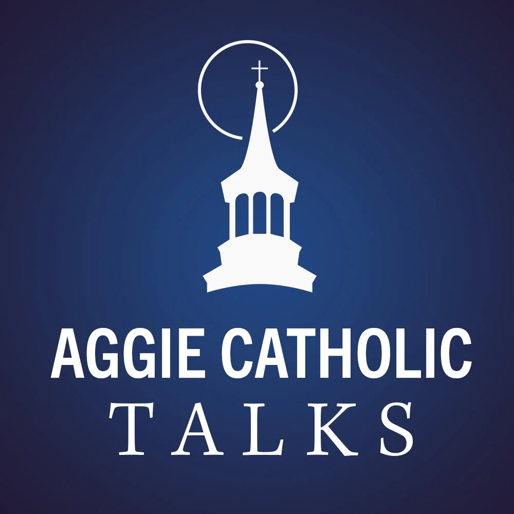 Recordings from talks at Magnify, “Let’s Talk About”, Catholicism 101, and more!