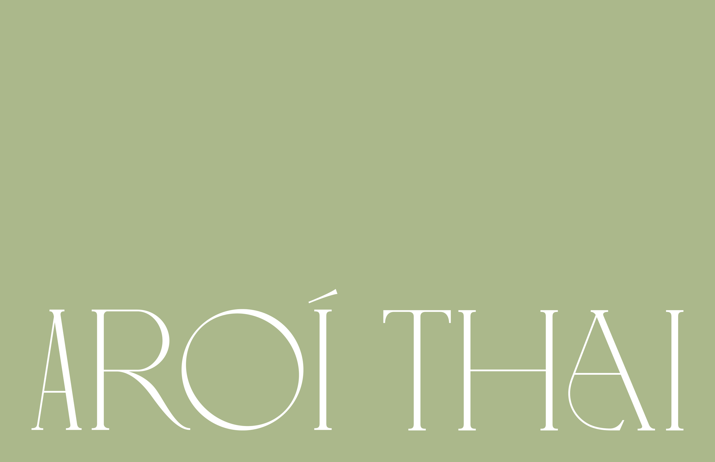 Aroi_Brand Identity Guideline13.png