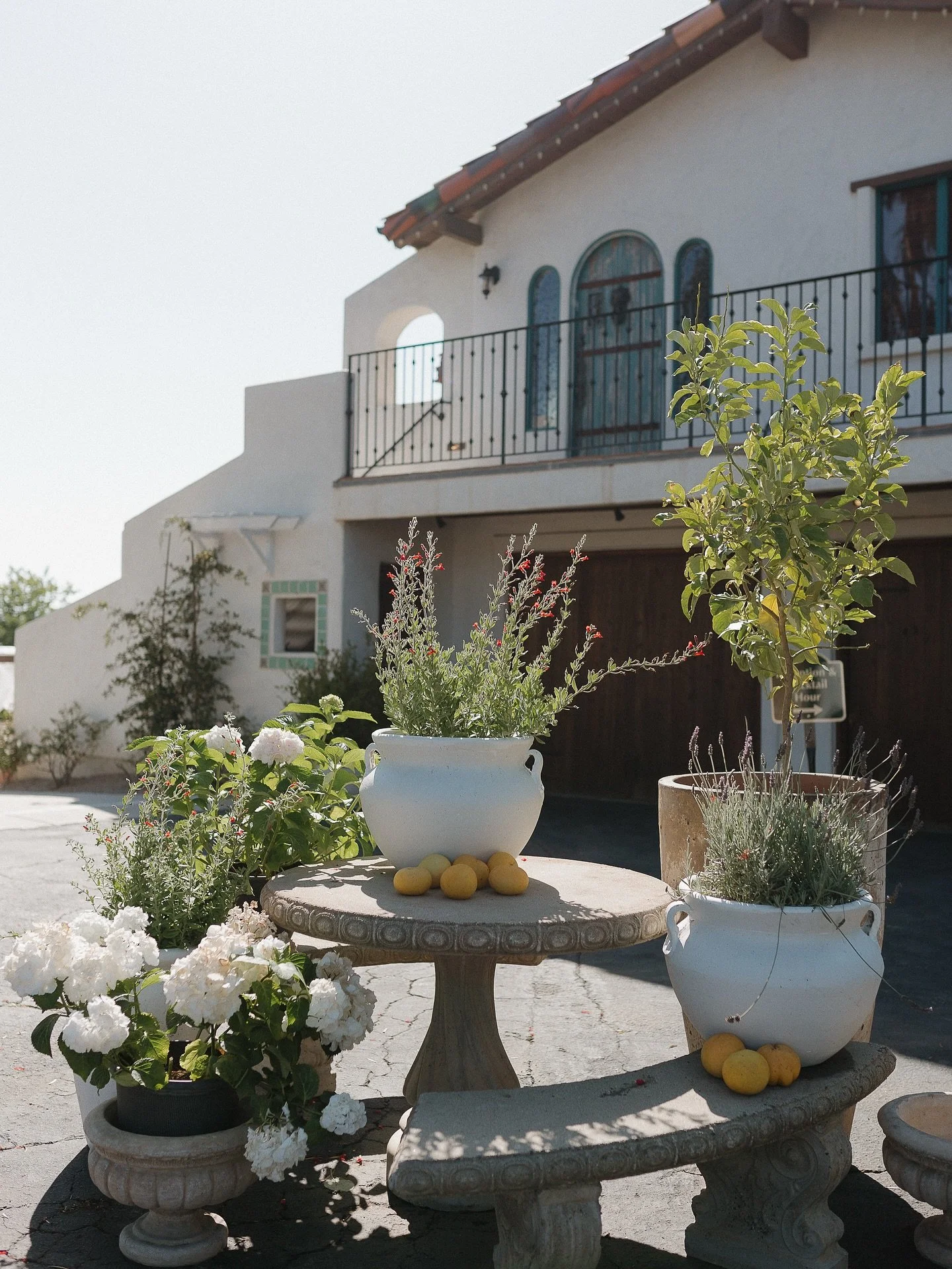 A venue spotlight for one of my favorite Southern California venues 🤍 
2026 brides, this one is for you 
&mdash;&mdash;&mdash;&mdash;&mdash;&mdash;&mdash;-
#southerncaliforniaweddingvenue #socalweddingphotographer 
#sandiegoweddingphotographer #dest