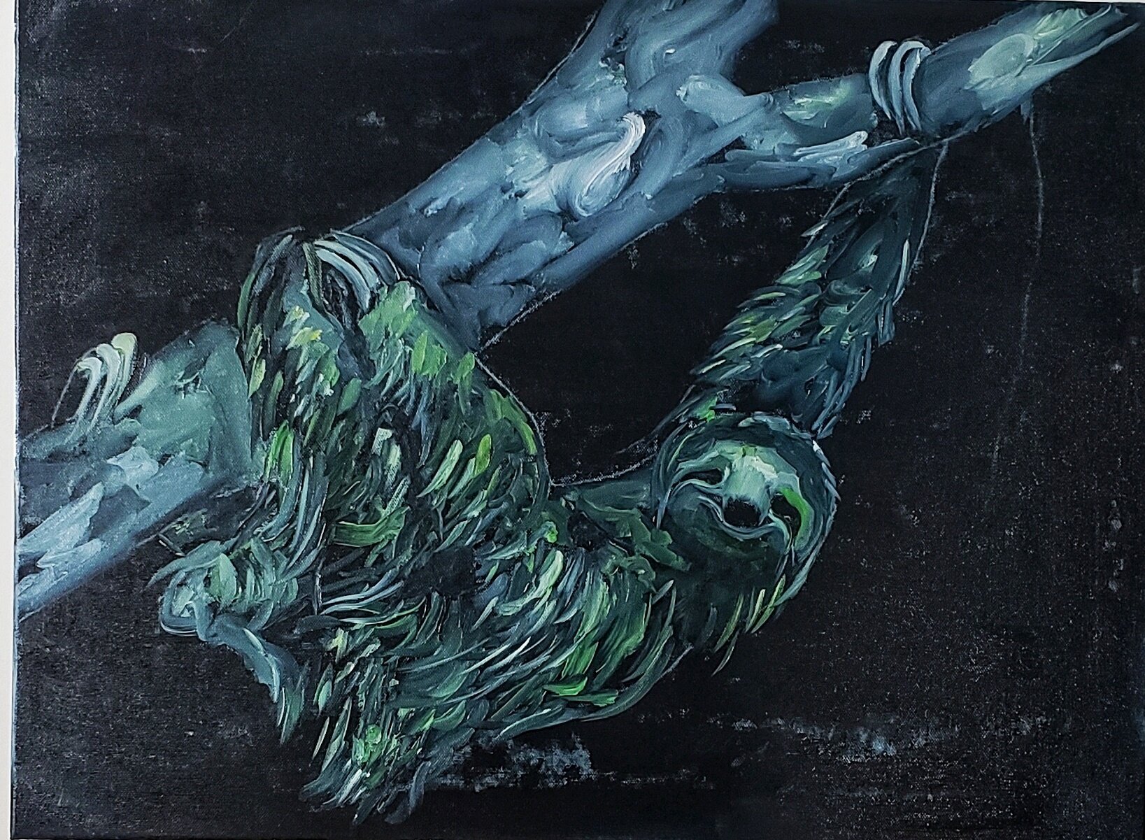Sloth,2018,18x24 inches.jpeg