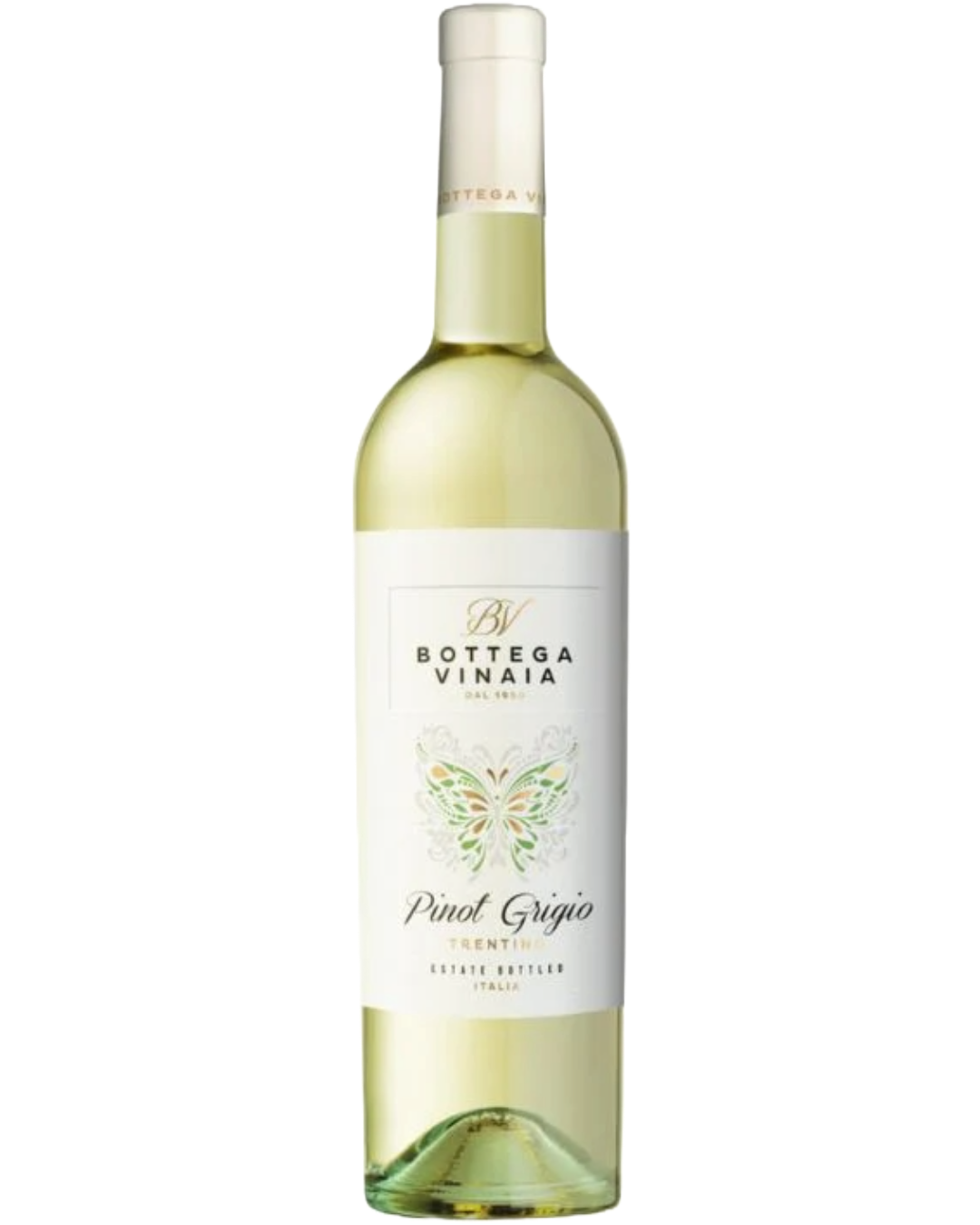 Bottega Vinaia Pinot Grigio (bottle)