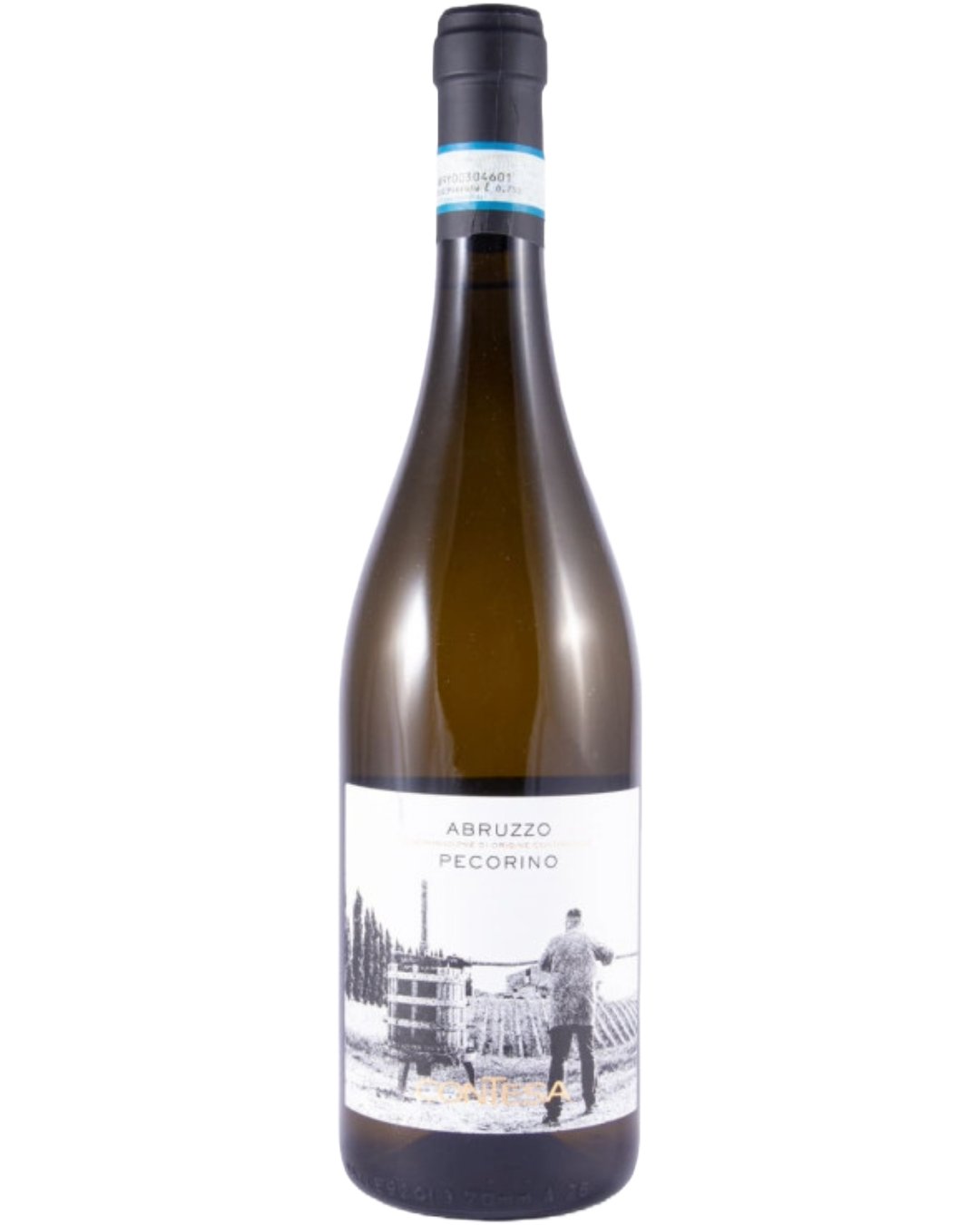 Contesa Pecorino (6 pack)