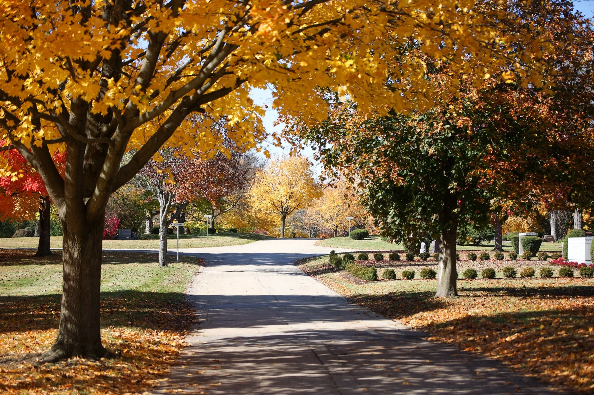 Arboretum — Clarendon Hills Cemetery & Arboretum