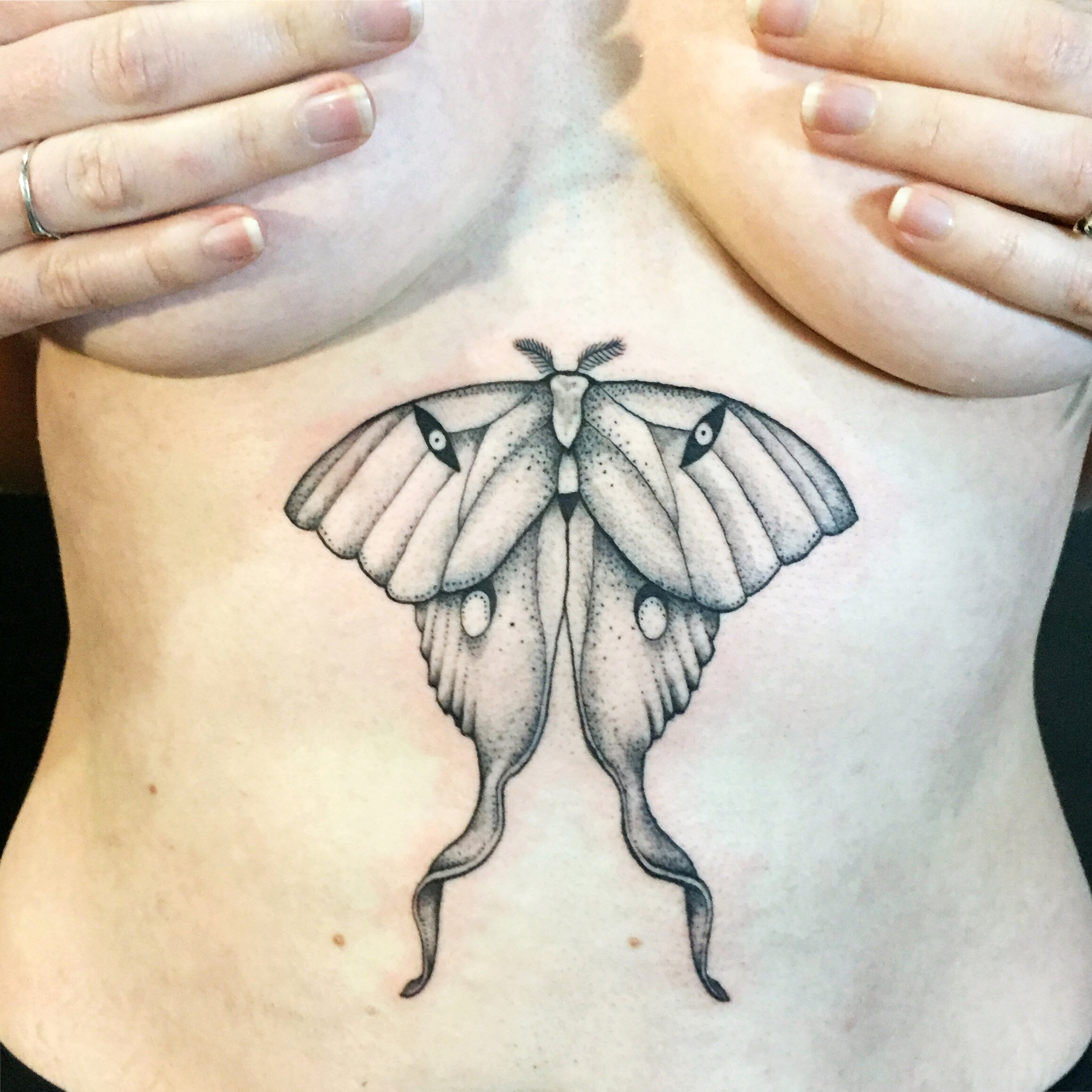moth.jpg