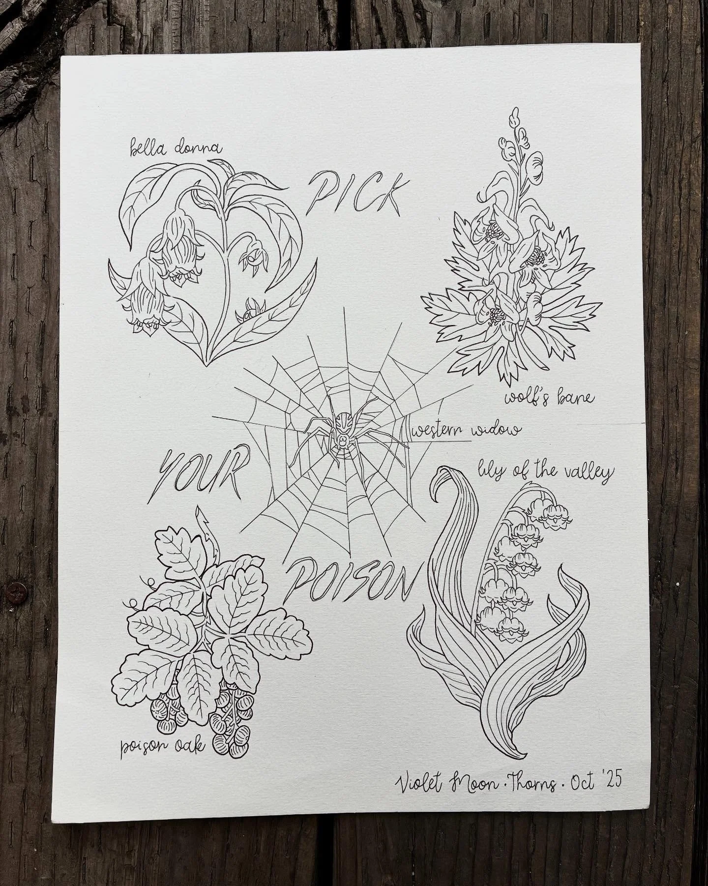 🕸️PICK YOUR POISON🕸️
Here is @bloodandbotanicals flash sheet for this Saturday&rsquo;s Halloween flash day here at @thorns.tattoo ! All flash is about 2-3.5 in and priced at $200-300 each. Contact Violet directly to book!