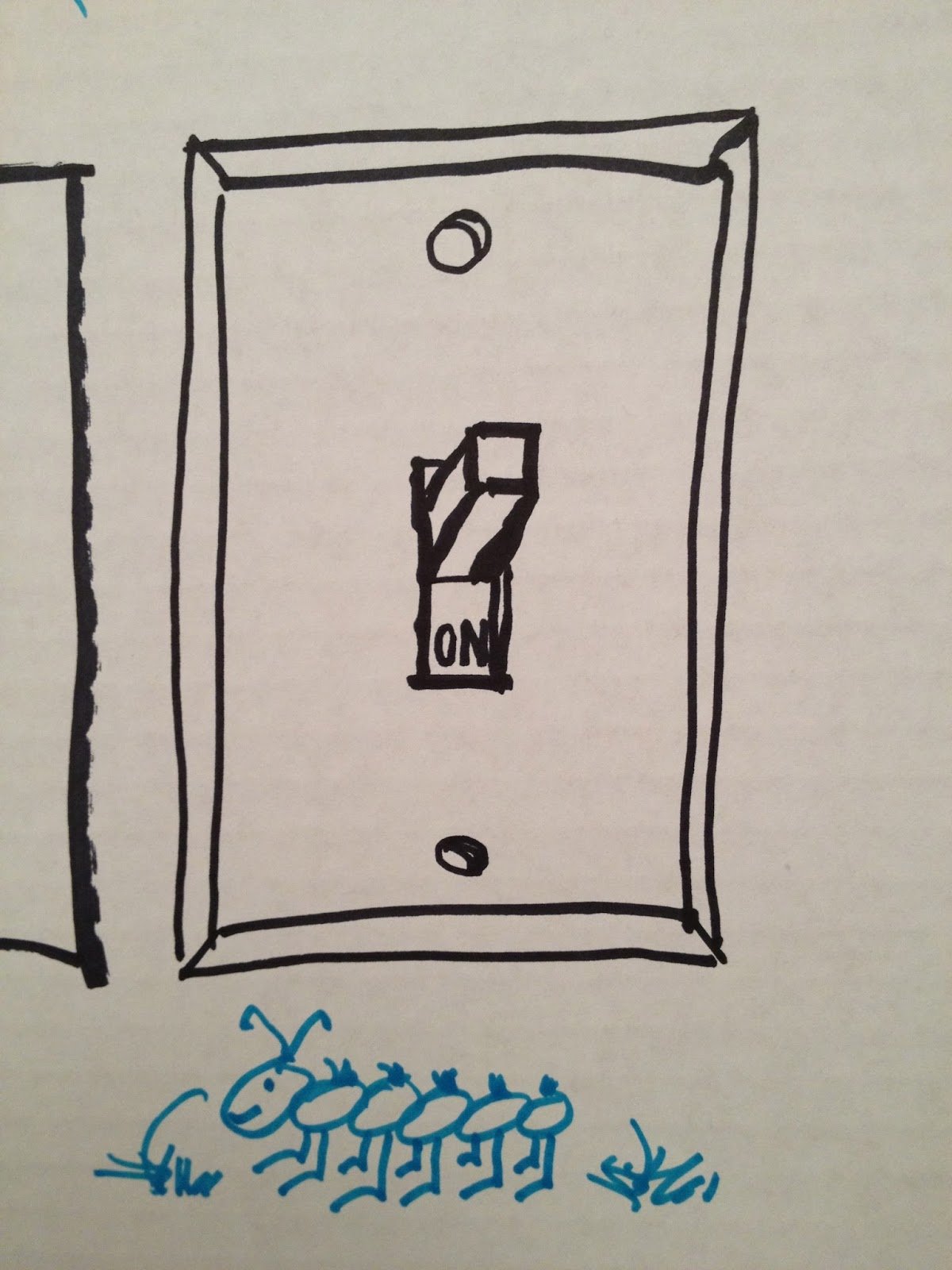 Light Switch and Insect