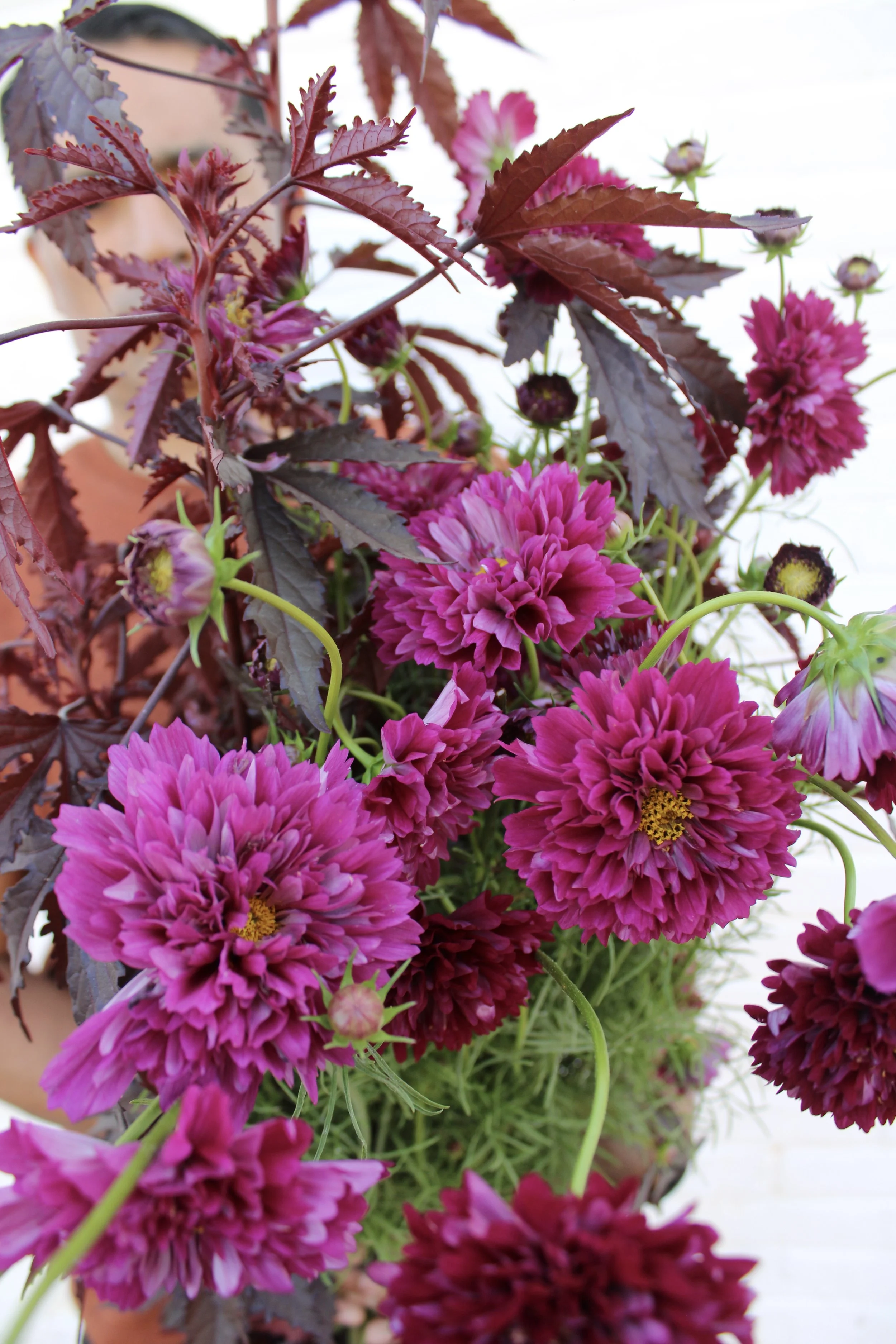 Lush dahlia arrangement, st. louis flower delivery