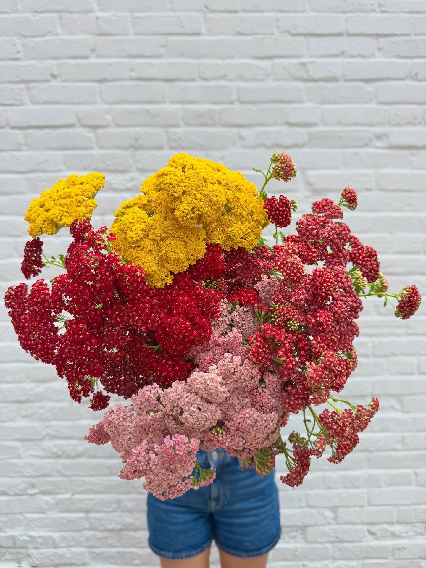 Happy first day of summer! Come build a bouquet at the trucks with us to celebrate🌞

Pictured is yarrow, sunflowers, dahlia, delphinium &amp; hot pink carnations

Find us today here:
STL - @pintsizebakery 9-2
Kirkwood - @sylviedeesicecream 9-2