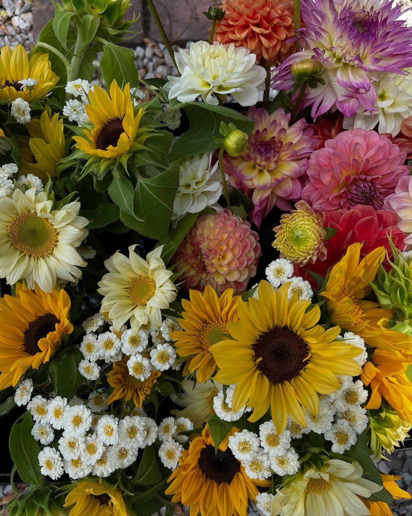 Flowers make everything better 🌻