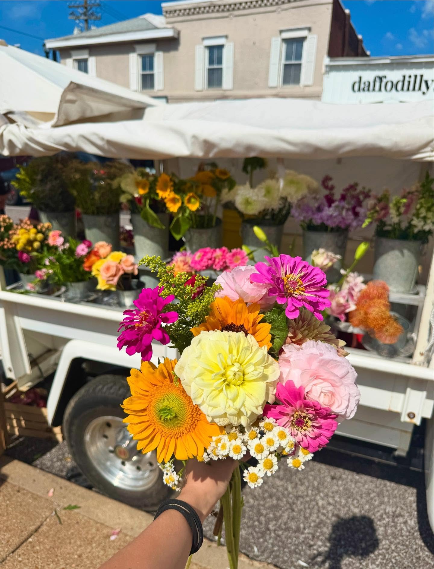 The perfect summer bouquet filled with all our favs - sunflowers, zinnia, dahlias, and Clooney ranunculus. 🤩

Stop by the trucks to make yours today!

Find us here:
STL - @russellsstl 9-2
Kirkwood - @honeybeesbg 9-2
Pastry Pop-Up @fennel.stl 11-2