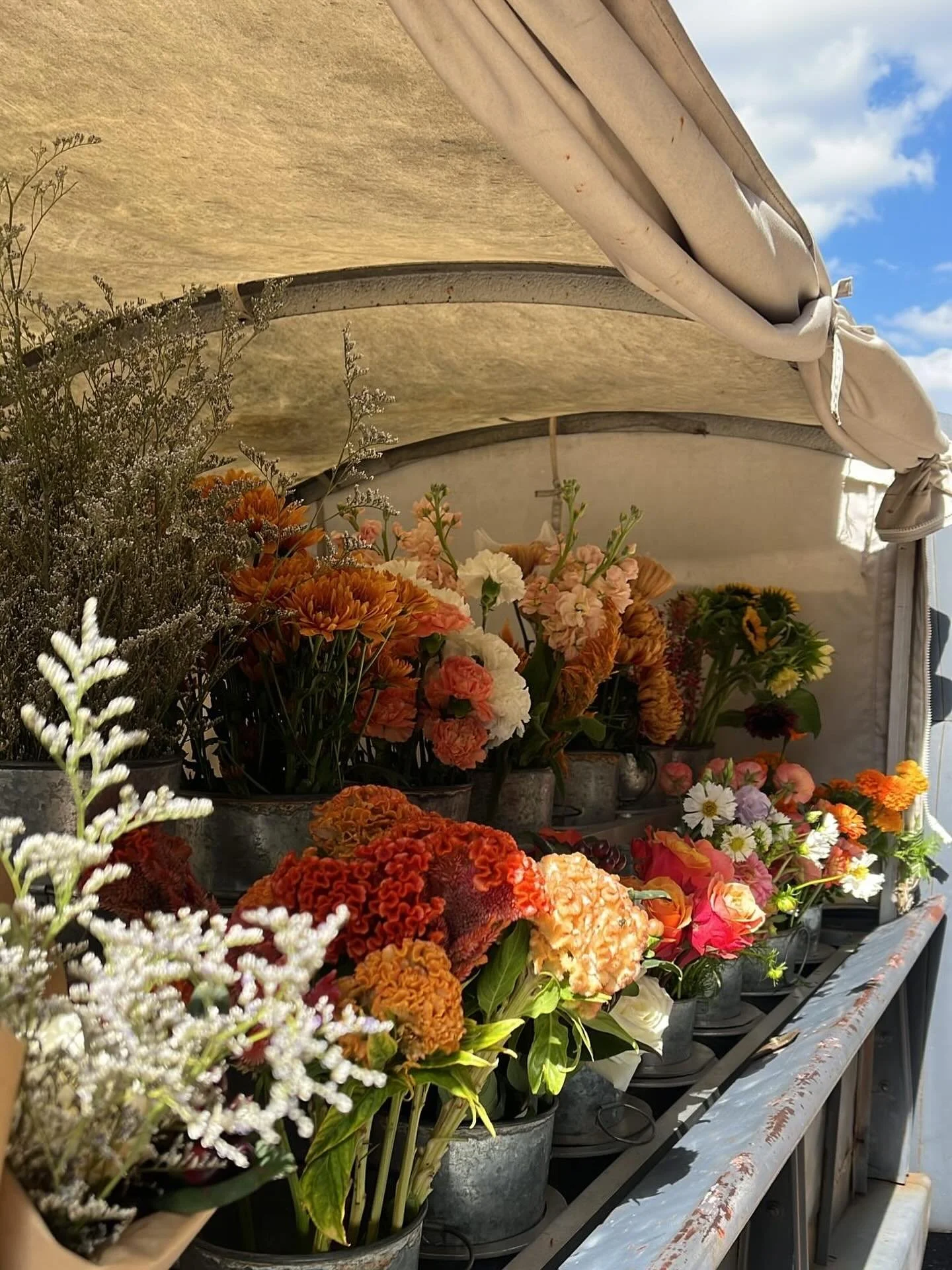 Looks like it&rsquo;s going to be a great day for flower trucks! 🌞 We have tons of flowers that would love to go home with you. 💐

Find us today in STL at @russellsstl 9-2 and in Kirkwood at @kaldis_coffee 9-2. 

Can&rsquo;t wait!