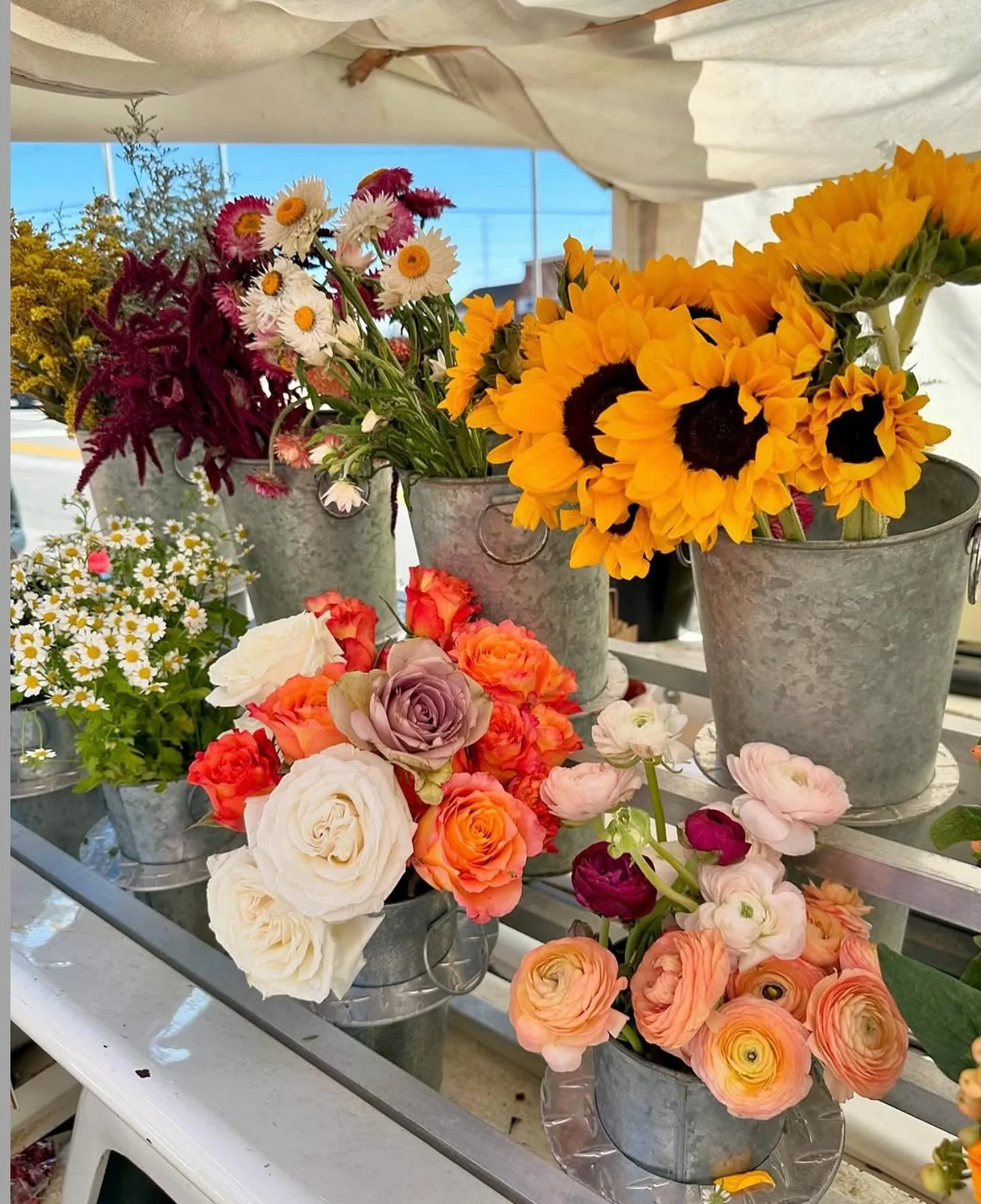 This is flower truck weather! The sun is shining &amp; both trucks are stocked with fall blooms for ya. 
Find us in STL at @russellsstl on Macklind 9am-2pm and in Kirkwood at @teleocoffee 9-2!

See ya soon friends!