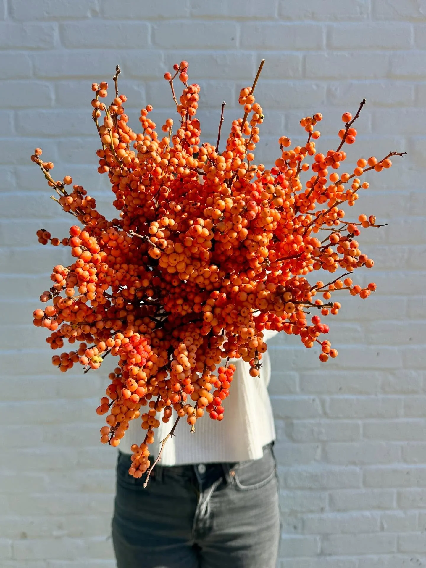 This might be the most unexpectedly perfect November lineup we have ever had!

Think texture, funky stems, and that one bouquet you will still be thinking about tomorrow.

With only a few truck weekends left, this is your sign to spend your Saturday 