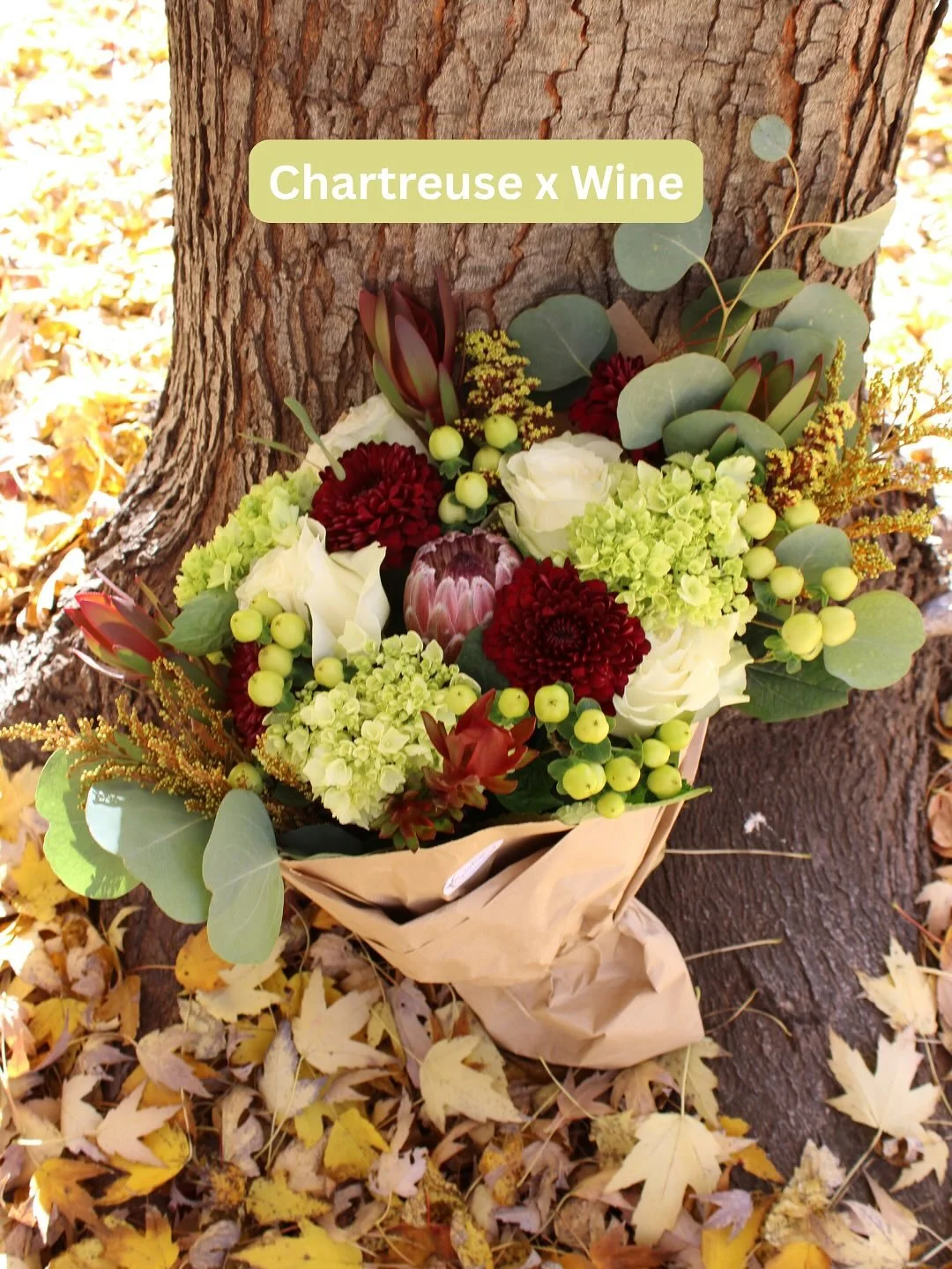 Let&rsquo;s talk Thanksgiving color palettes! 

The Chartreuse x Wine was created to give an elevated, modern feel. The Harvest brings the rich, classic Thanksgiving colors you know and love.

Lucky for you, both of these limited time bouquets on our