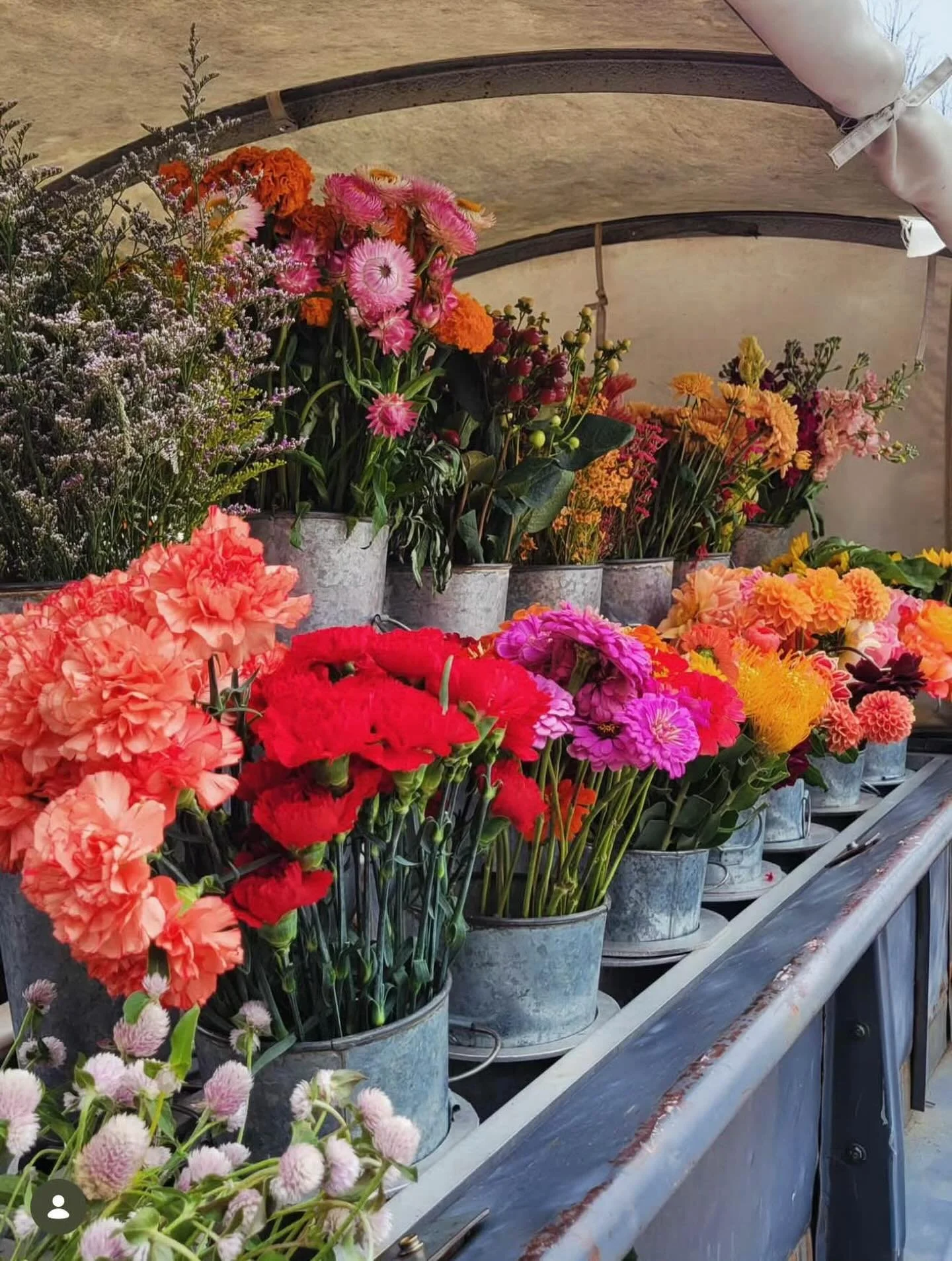 It&rsquo;s hard to believe our 2025 truck season is almost over! 🥹We&rsquo;ve got only 2 more weeks left on the trucks and it&rsquo;s bittersweet. 

With Thanksgiving right around the corner, make sure to stop by to build your last minute bouquets! 
