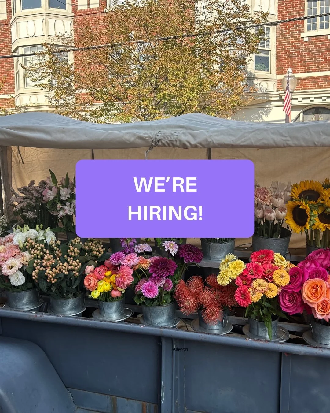 We&rsquo;re looking for people who love flowers and St. Louis! We&rsquo;re hiring a couple positions within our flower team to start ASAP! Scroll through our job openings and send your resume, IG handle, and desired job to hello@rudysflowertruck.com.