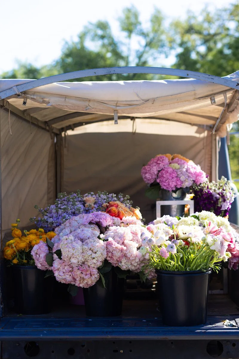 Signs that Spring is coming…🌸