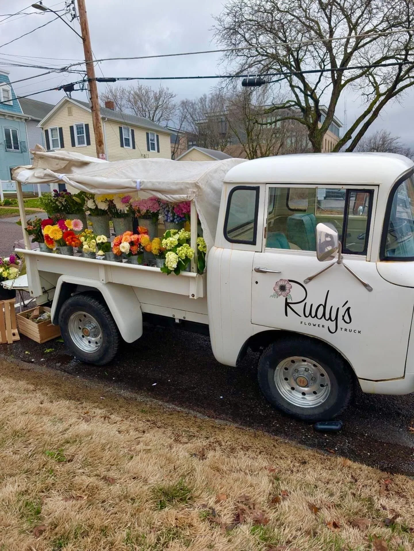 Happy 314 day! This is your sign to head to the flower trucks &amp; build yourself a pretty little bouquet today 🤩

Find us in STL @knead_bakehouse 9-2 and in Kirkwood at @honeybeesbg 9-2!