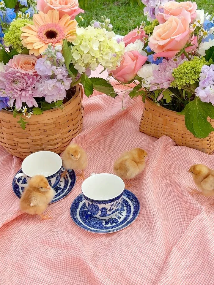 Our first ever Easter baskets are now available for order. They&rsquo;re exclusive, adorable, and limited (baby chicks not included 🐣)