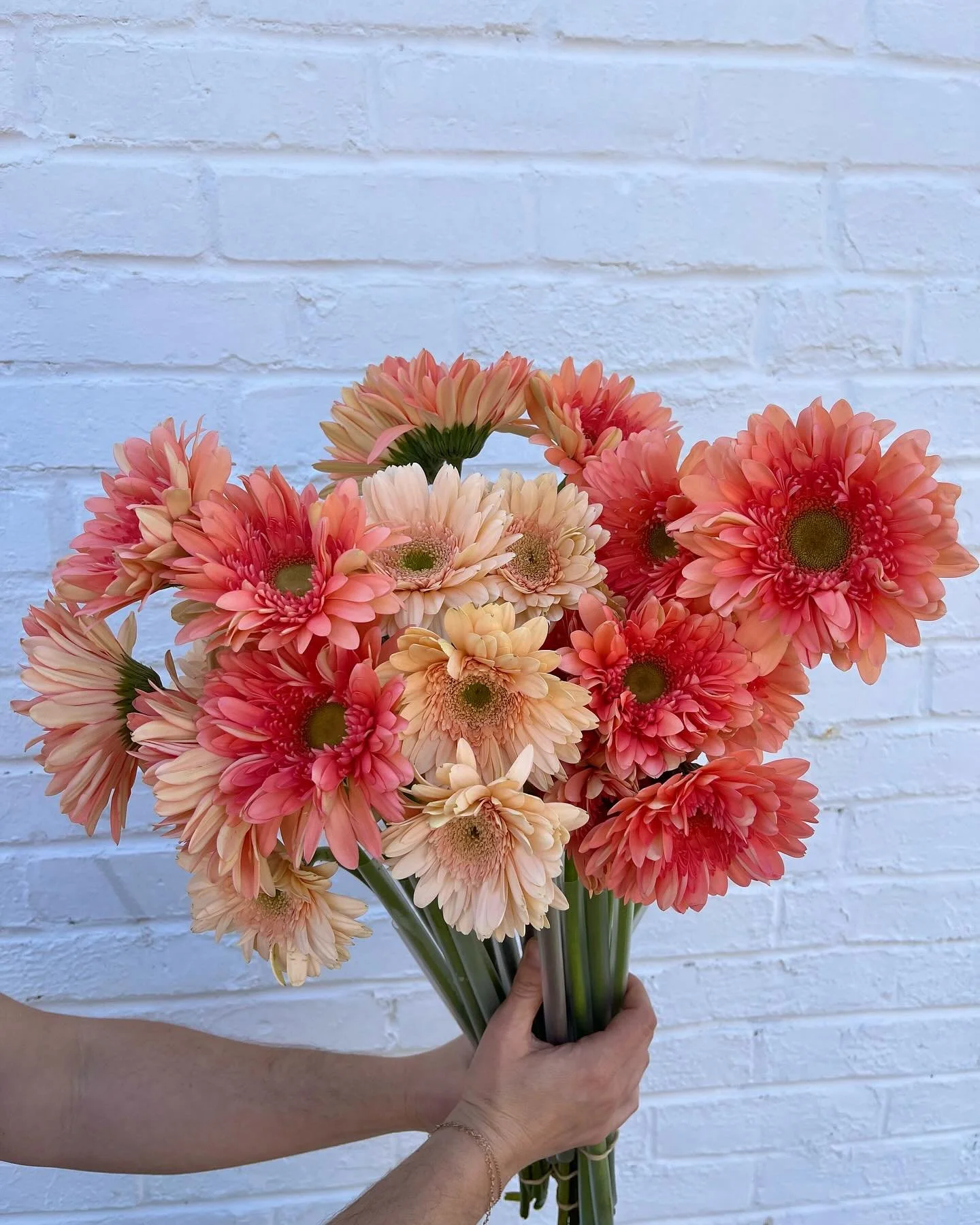 Our flower truck line up for the first weekend of spring is INSANE. Swipe through to find your favorites and save for when you come by to build this weekend 💐