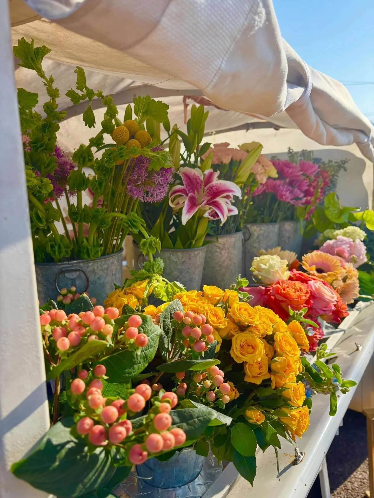 We&rsquo;re continuing the spring celebration today with TULIPS!

Find us in Kirkwood at @honeybeesbg 9-2 and in the city at @russellsstl on Macklind 9-2!

See you soon ❤️