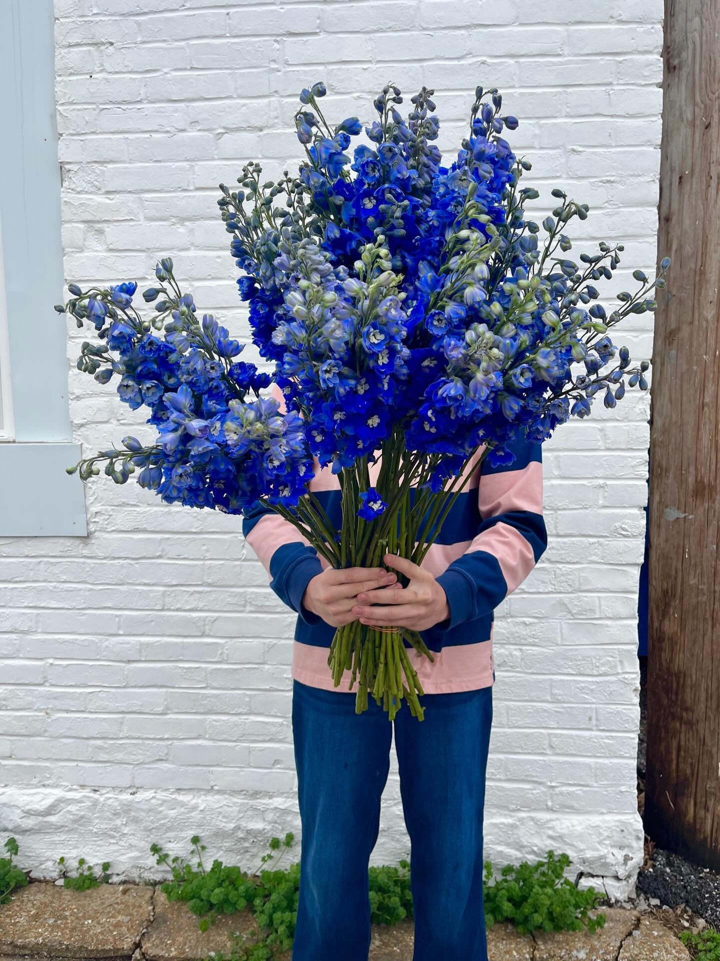 This weekends line up is really giving spring 🌷 save your favorites for when you stop by to build your bouquet 💐