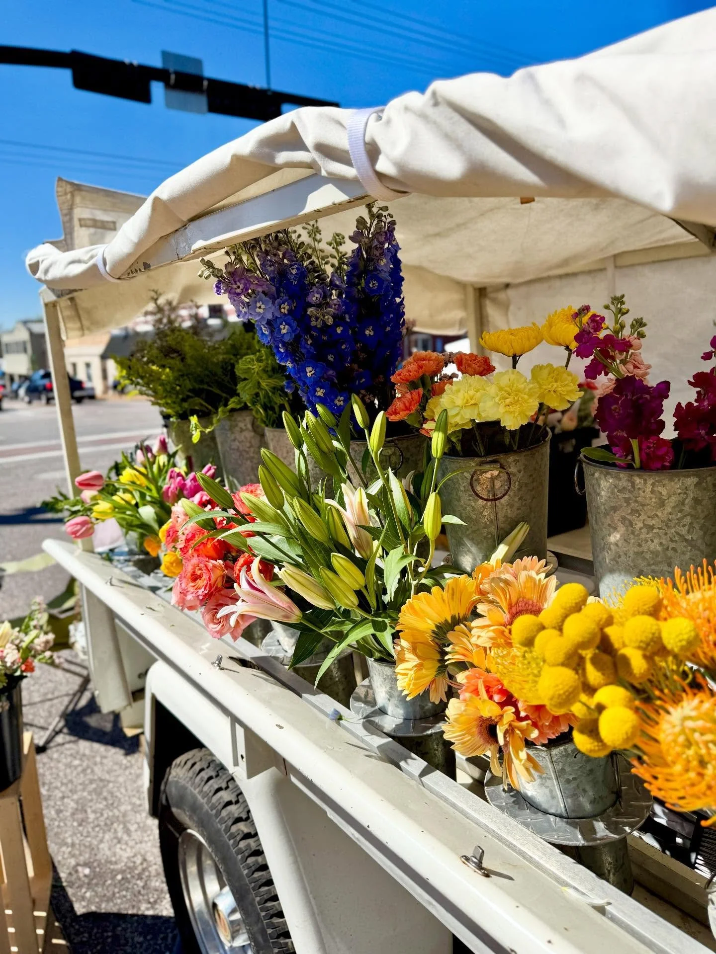 Our trucks are in full bloom and the perfect place to create a spring bouquet 💐 Find us in Belleview at @eckertfarms Tulip Trail 10-6 and in Kirkwood at @honeybeesbg 9-2